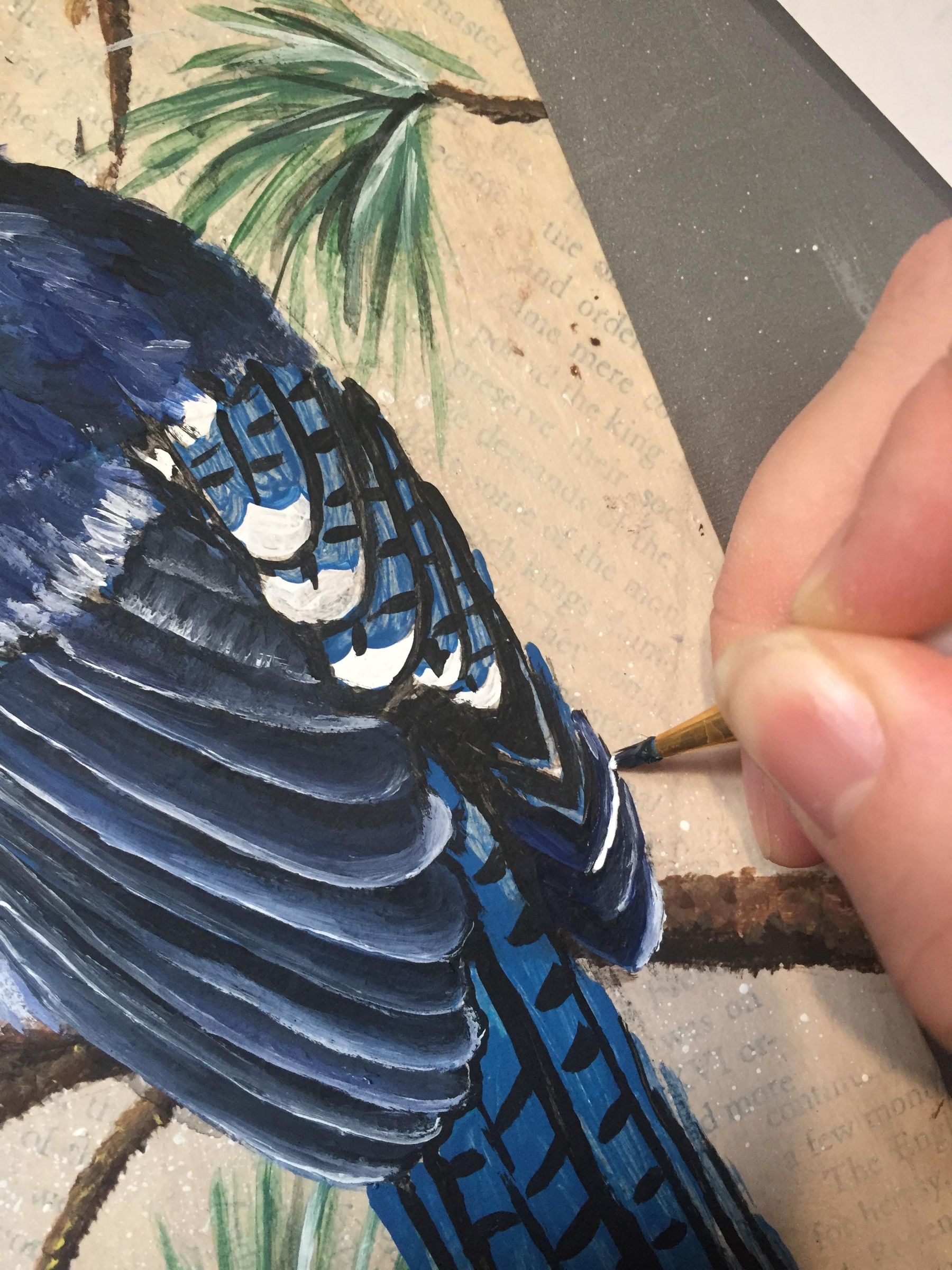 How to Paint a Blue Jay on a Branch. 13 Steps (with Pictures