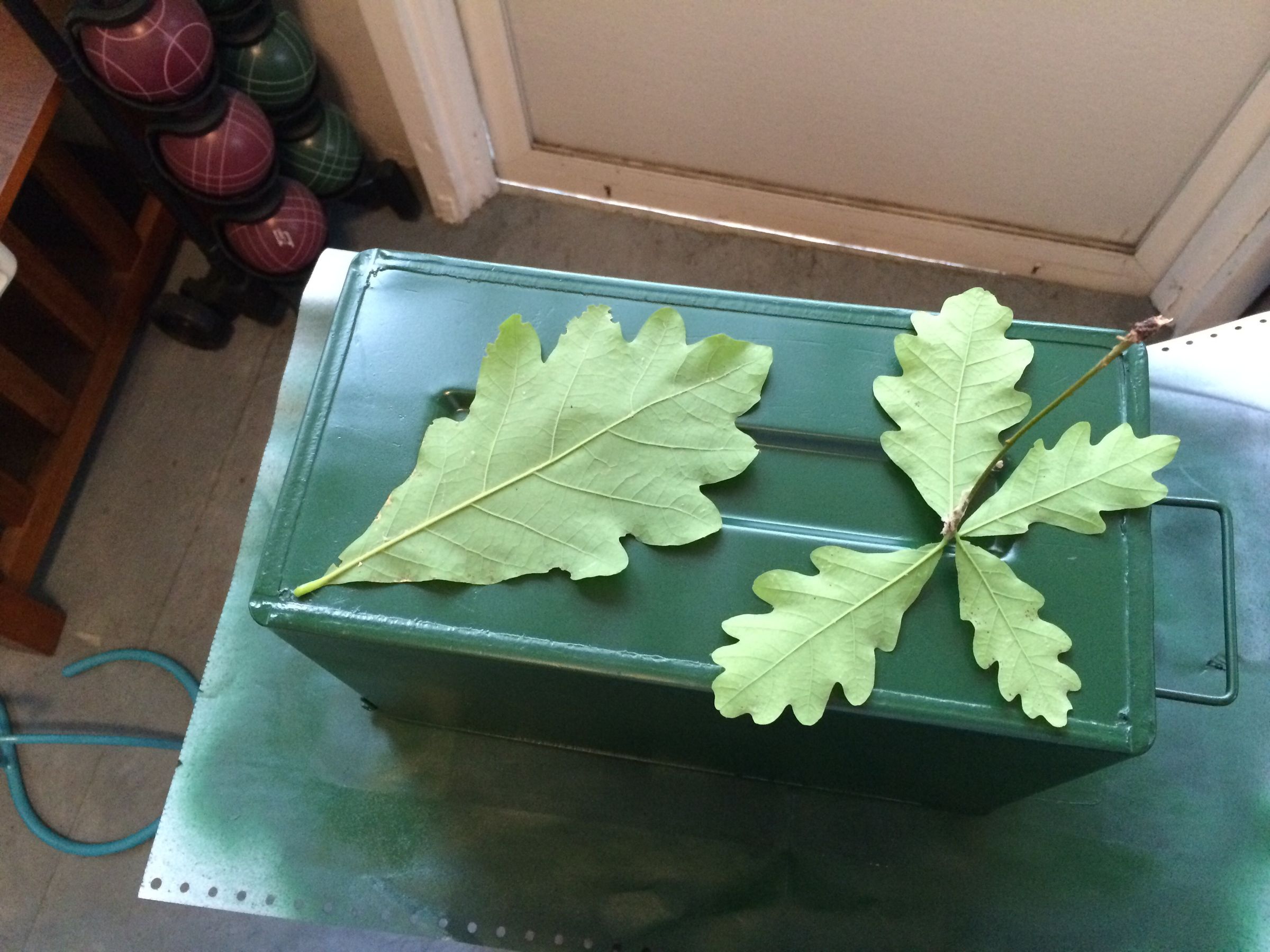 How to Paint Camouflage 6 Steps (with Pictures) Instructables