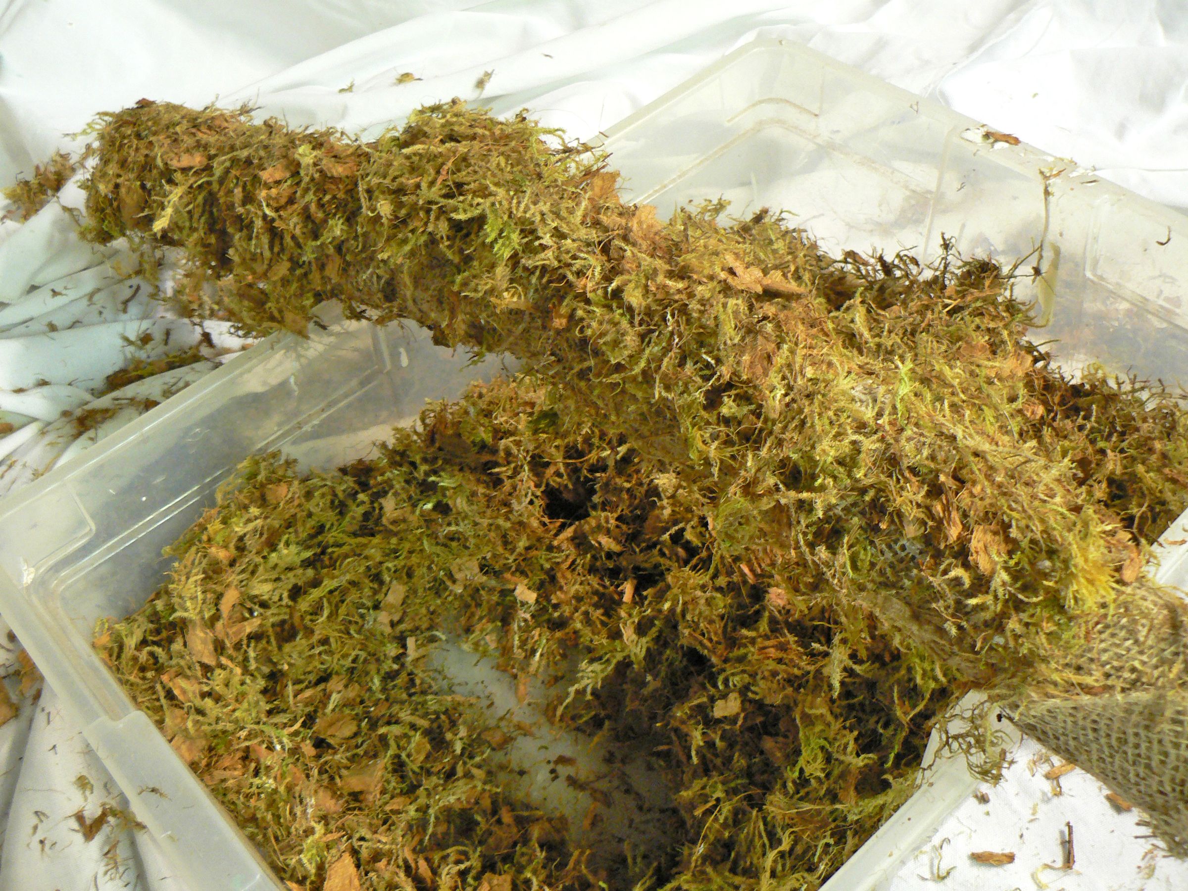 How to Make a Fake Tree Branch for Your Reptile 5 Steps (with