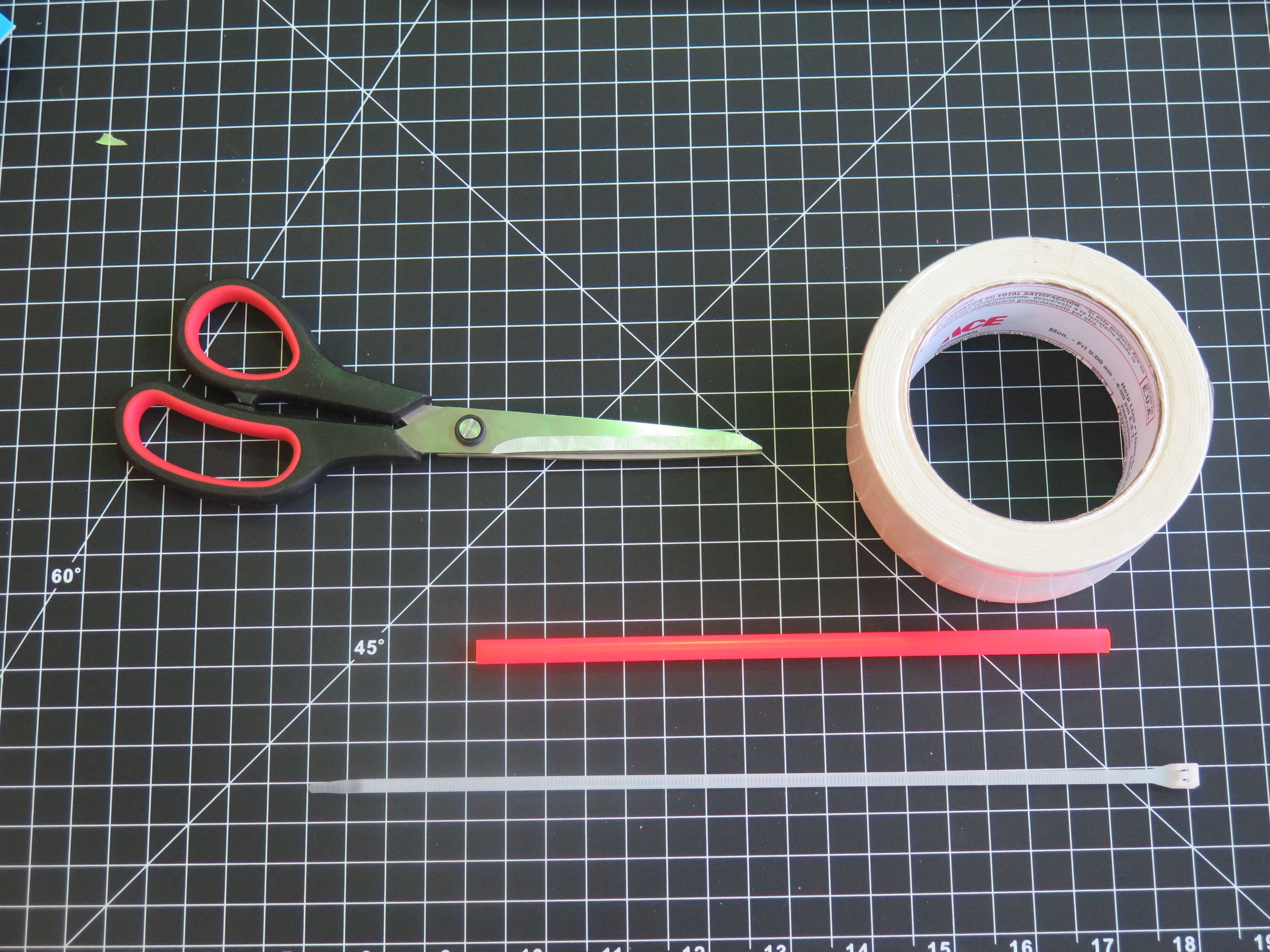 Chicken Foot Dissection 7 Steps Instructables