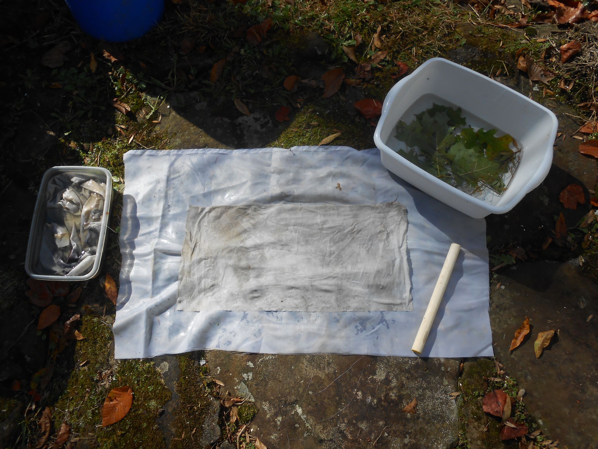 EcoPrinting With Rust & Vinegar 6 Steps (with Pictures) Instructables