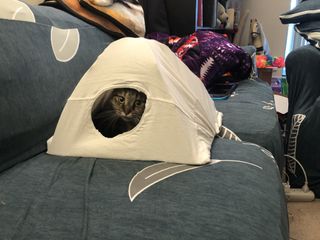 DIY Cat Tent