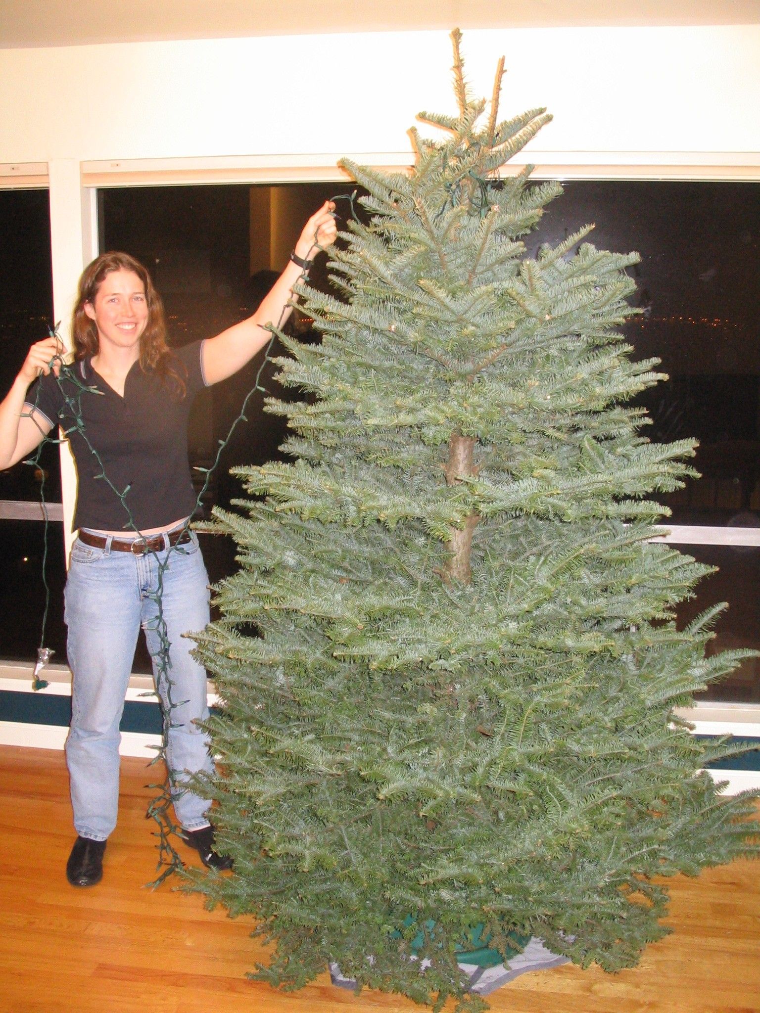 Computercontrolled Musicsynchronized Flashing Christmas Tree Lights