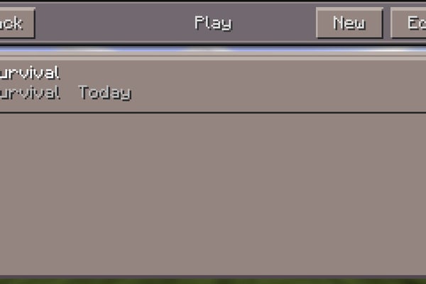 How To Connect To A Multiplayer Server In Minecraft Pocket Edition Not On The Same Wifi Network 7 Steps Instructables
