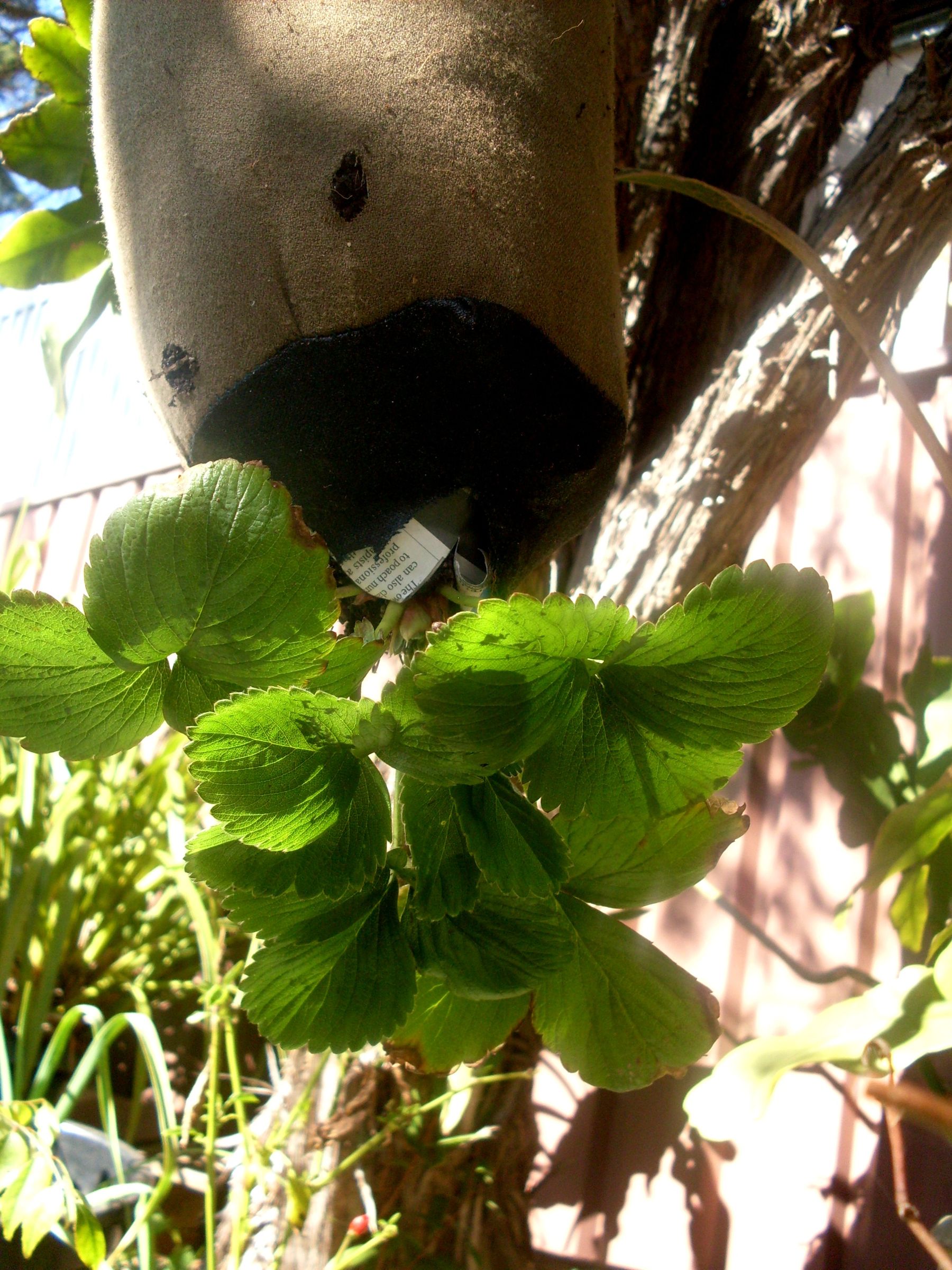 Sew a GrowBag or Upside Down Planter Bag (with Pictures) Instructables