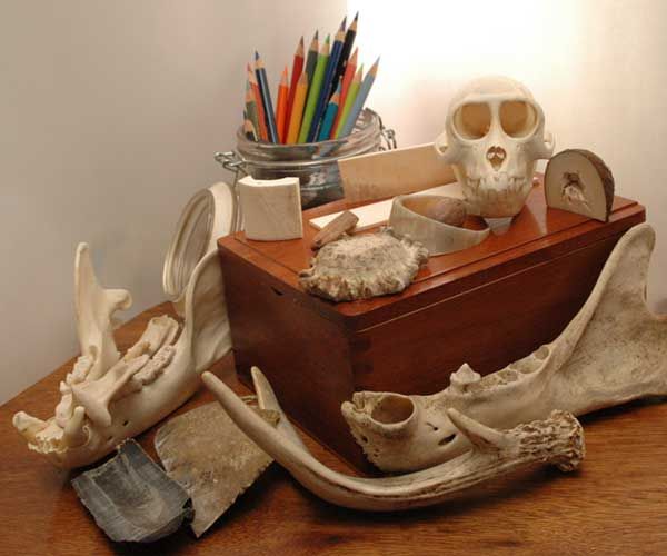 Bone Carving Materials 5 Steps Instructables