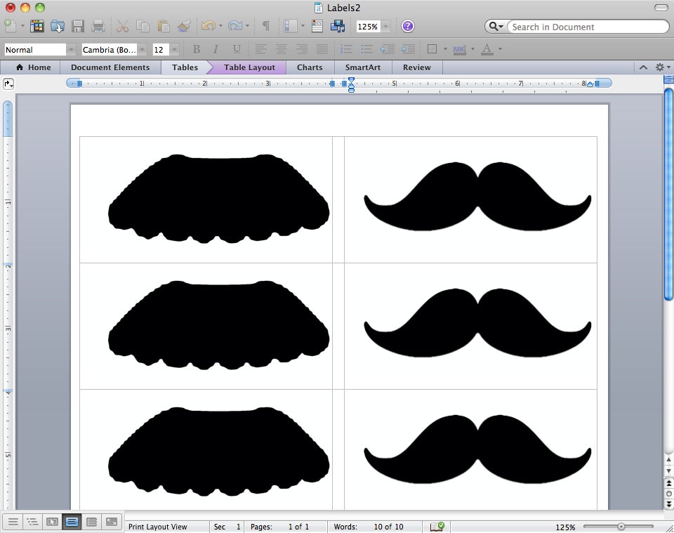 Mustache Mirror With Pictures Instructables Mustache Mirror With Pictures Instructables