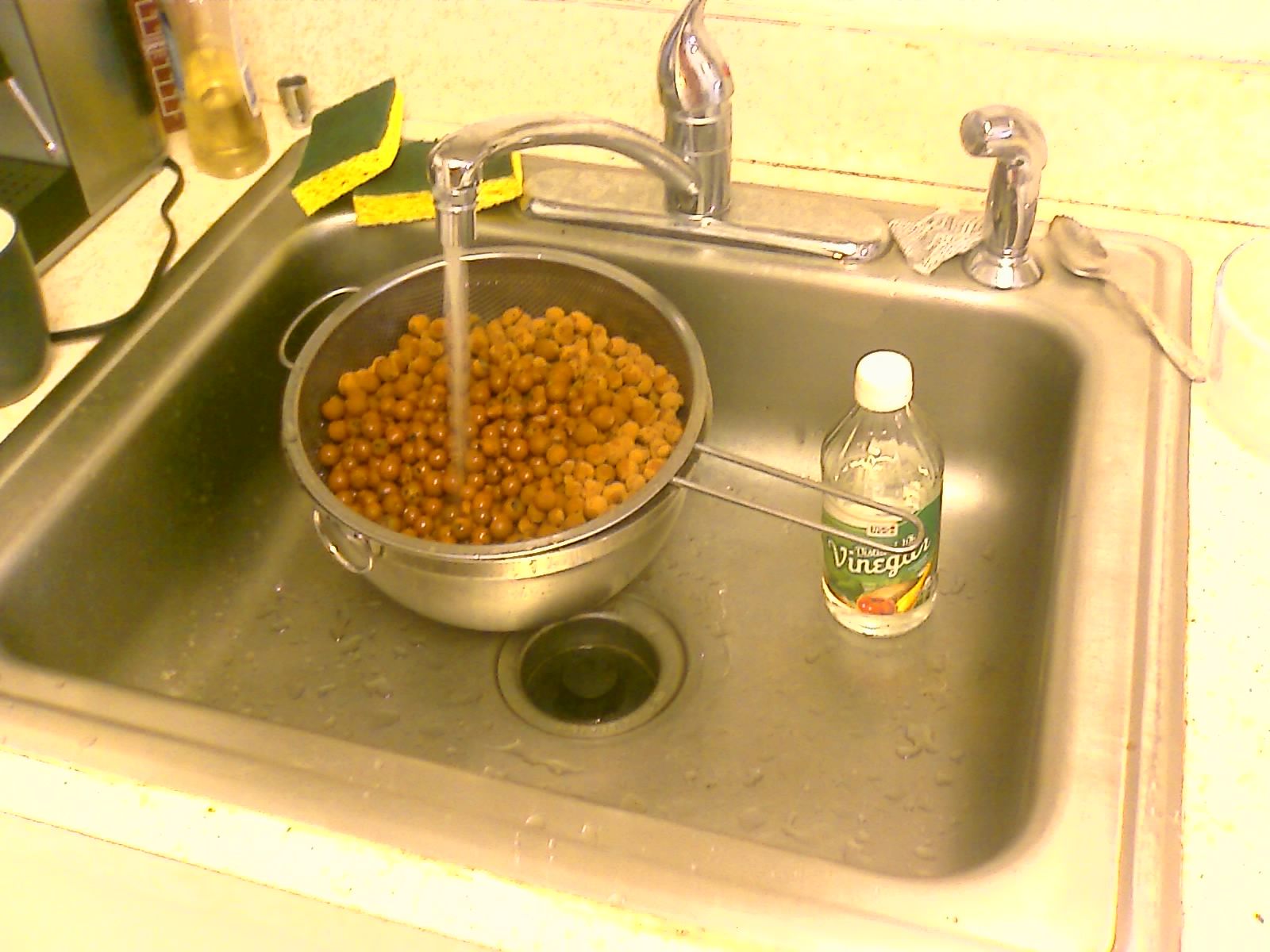 Aquaponics (Growing Plants With Fish Poo) 13 Steps (with Pictures