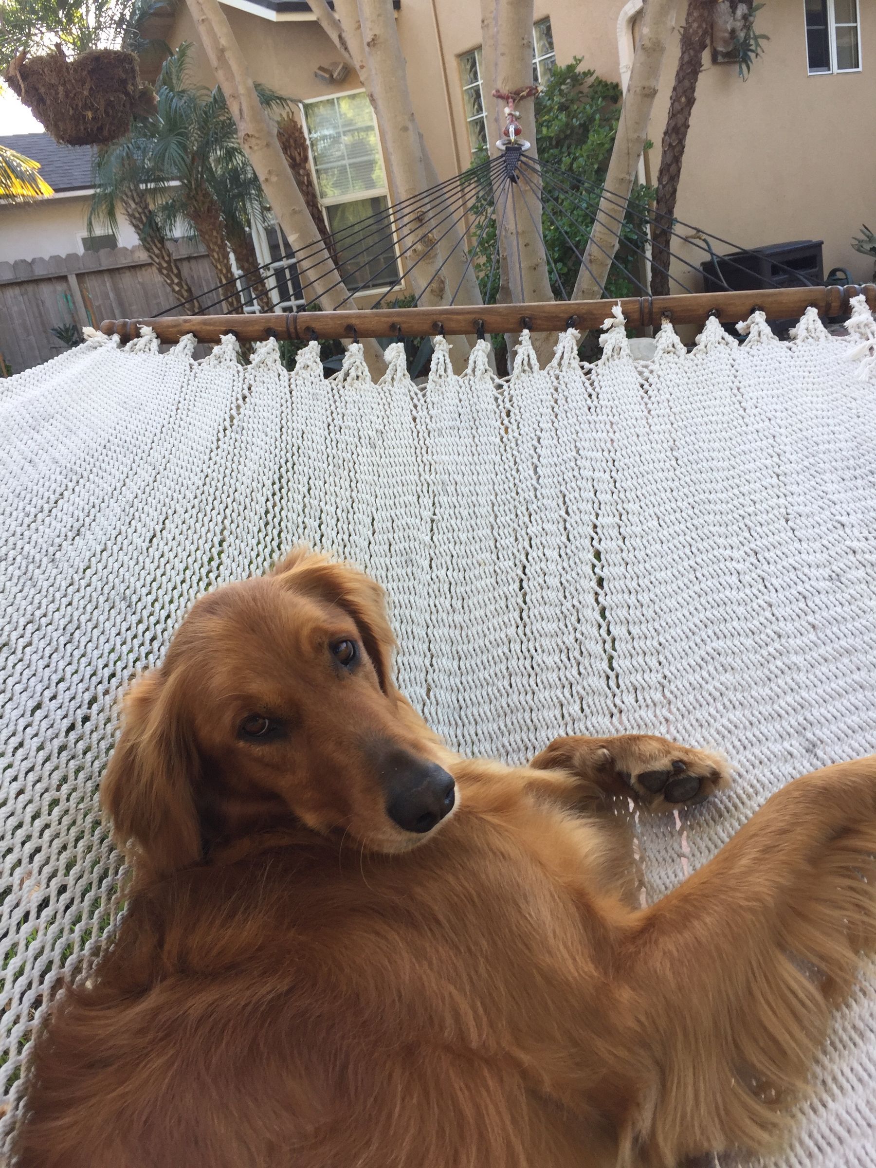 How to Fix a Hammock 6 Steps (with Pictures) Instructables