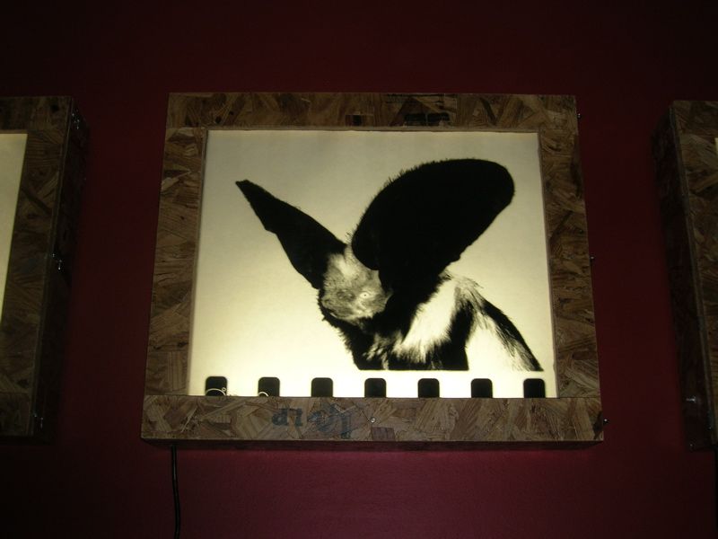 Wall Mounted Light Box
