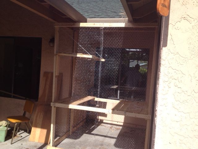 pallet cat enclosure