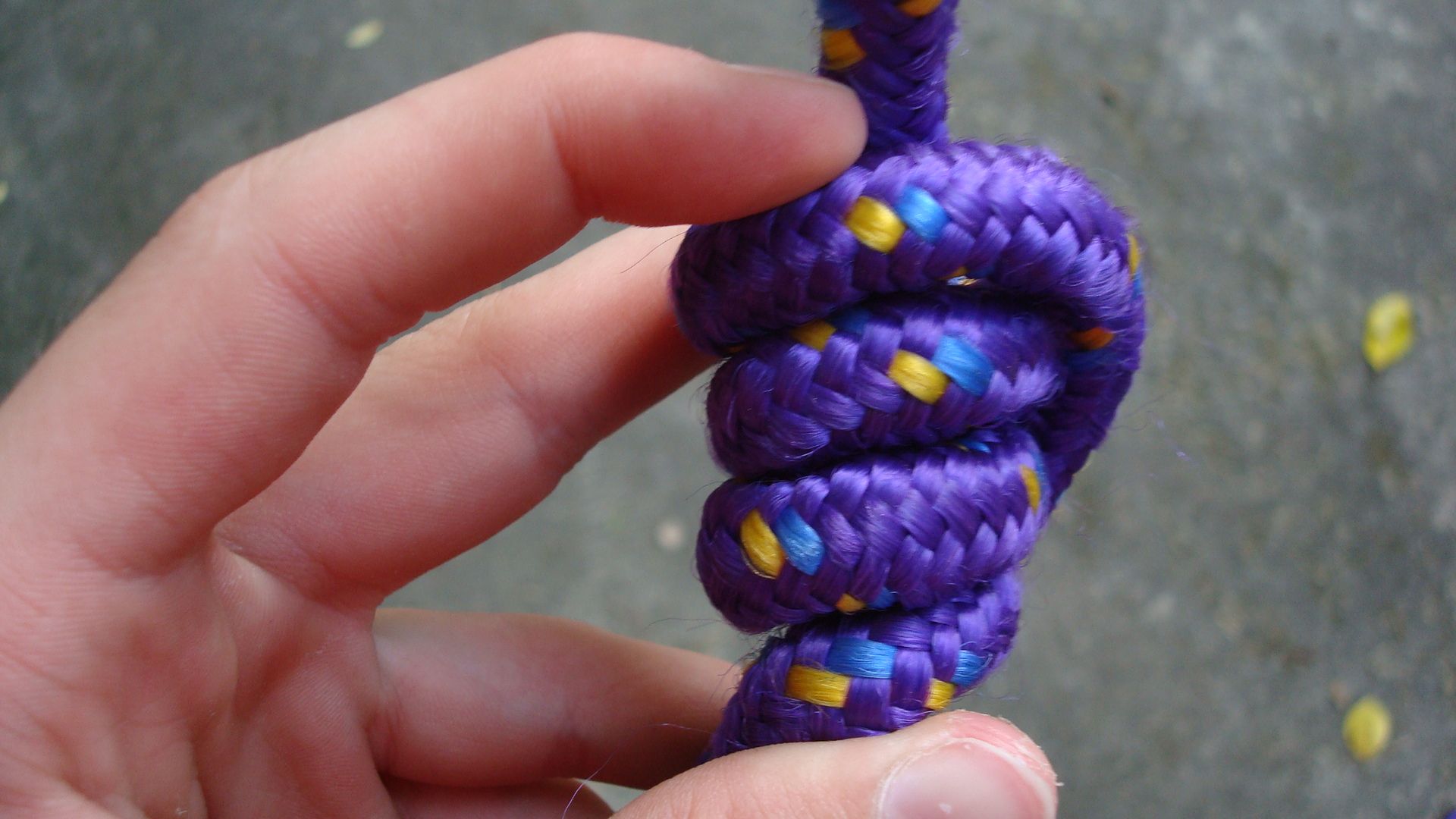 How to Climb a Tree (using Only Rope!) the Fun/simple Way 6 Steps