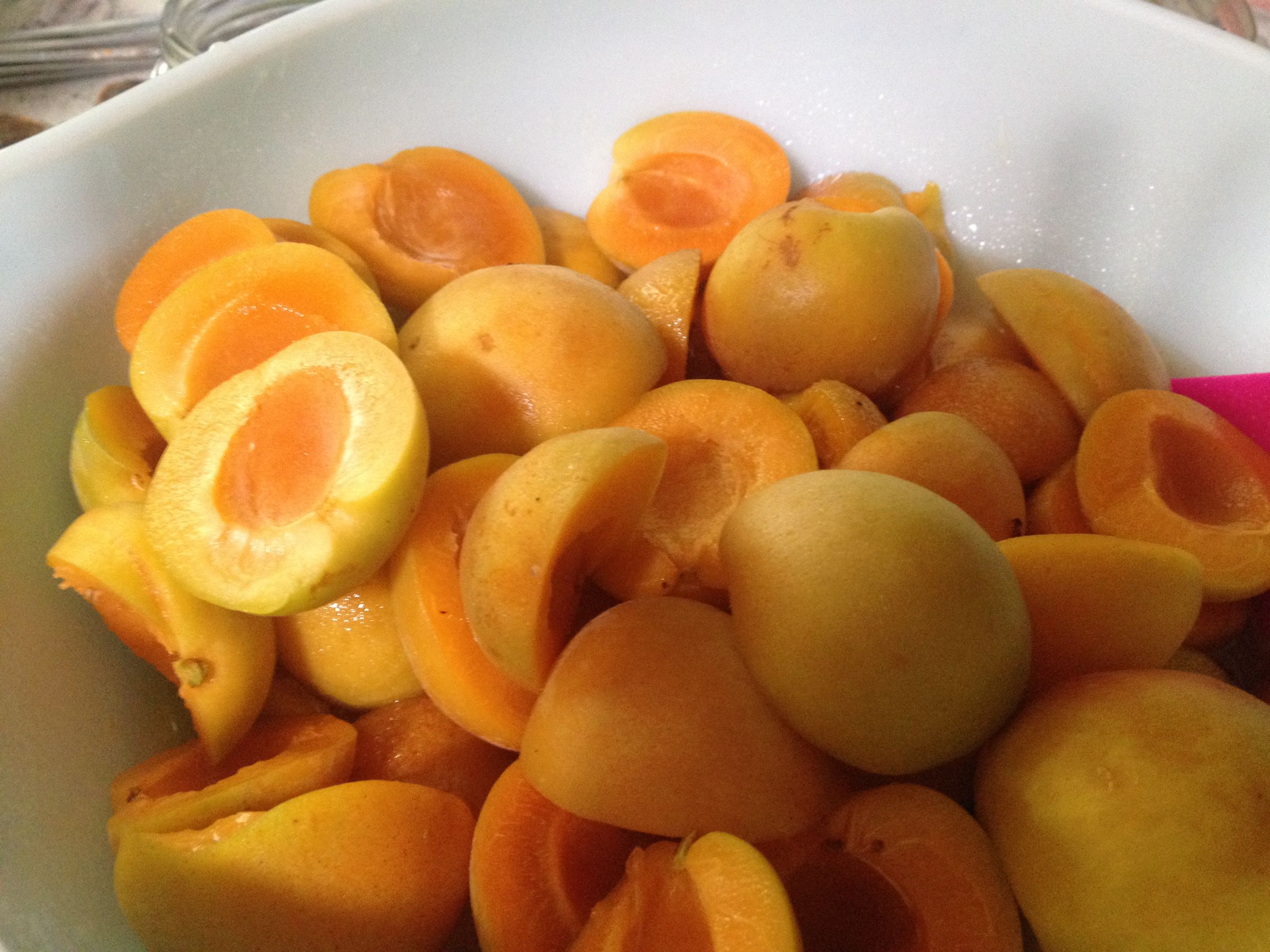 Honey Apricots 3 Steps Instructables