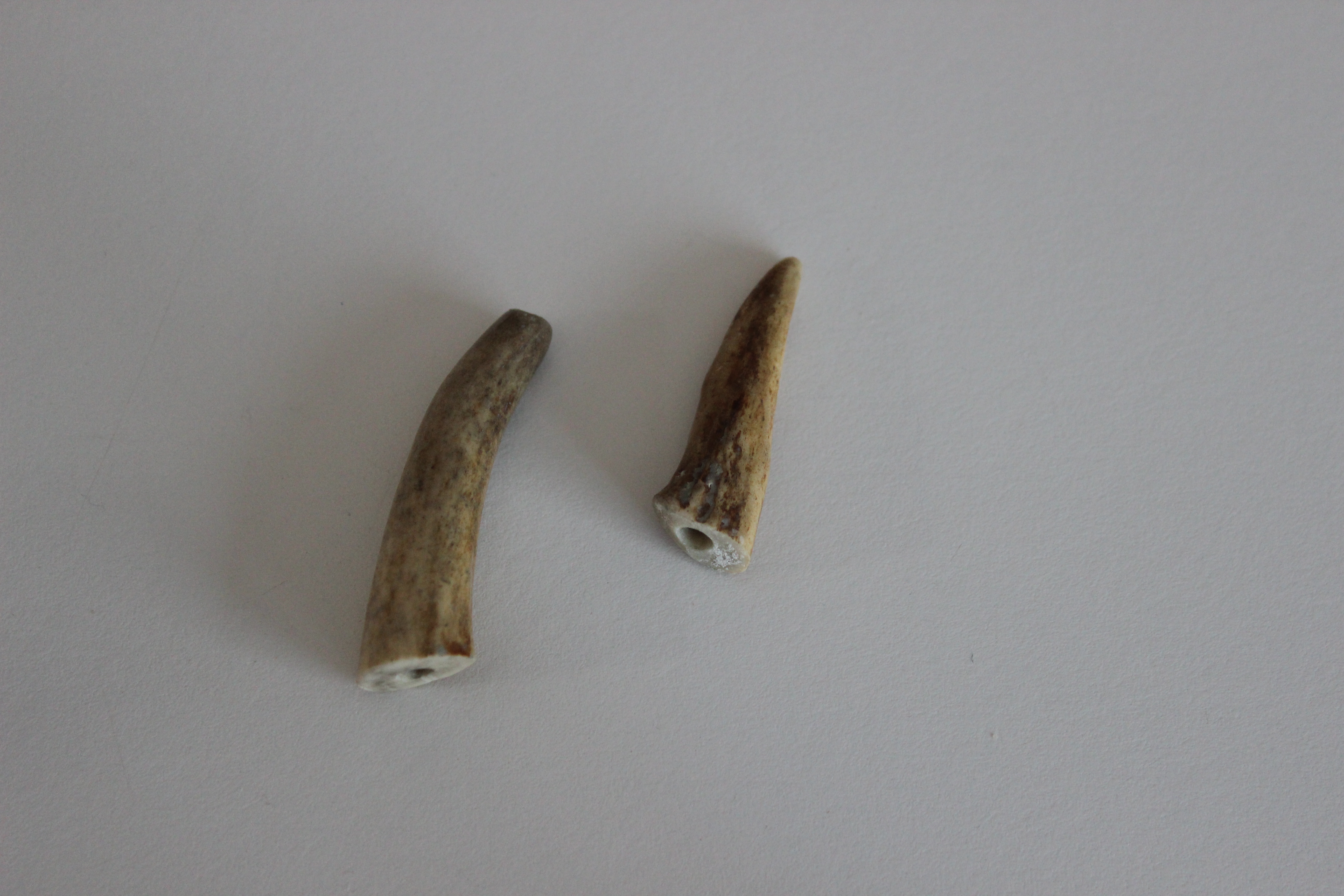 Antler Talisman 7 Steps (with Pictures) Instructables