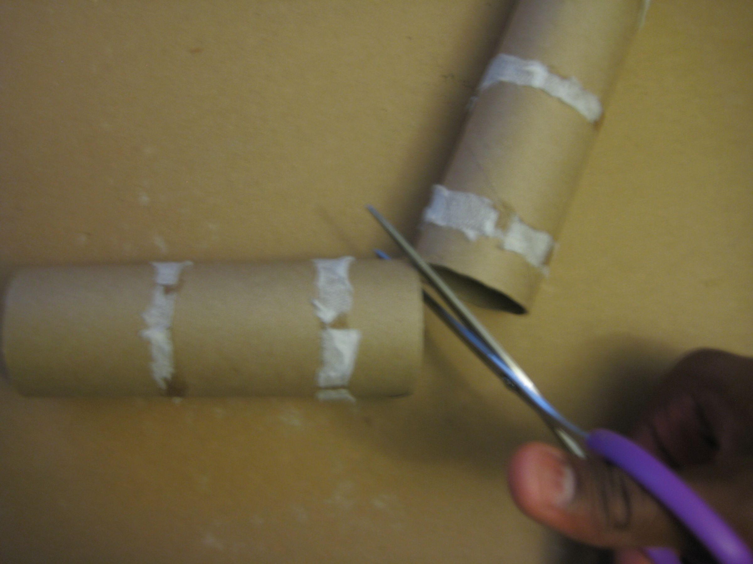 How to Make a Toilet Paper Roll Planter 6 Steps Instructables