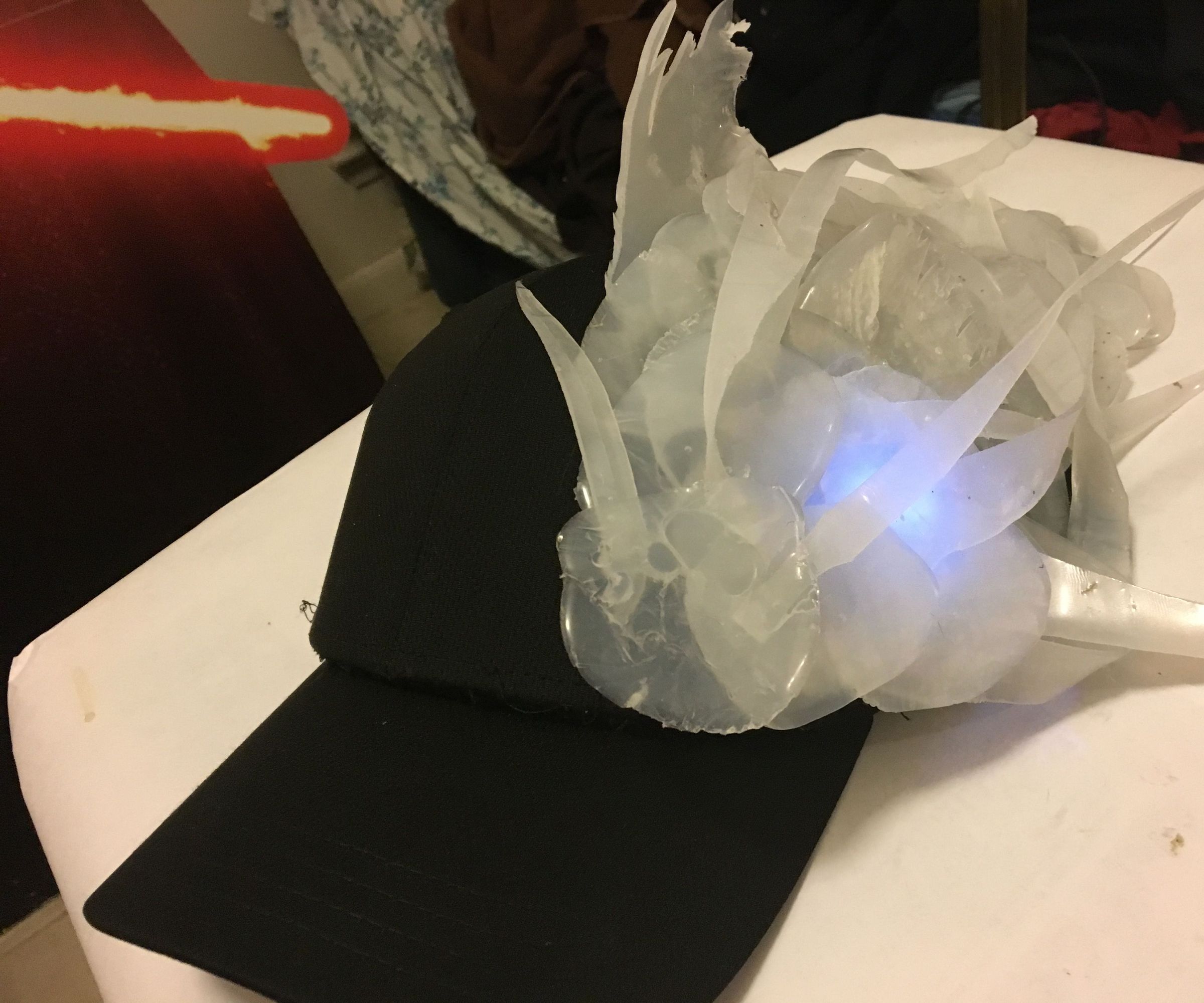 allegheny catfish DIY Project DIY Project Image