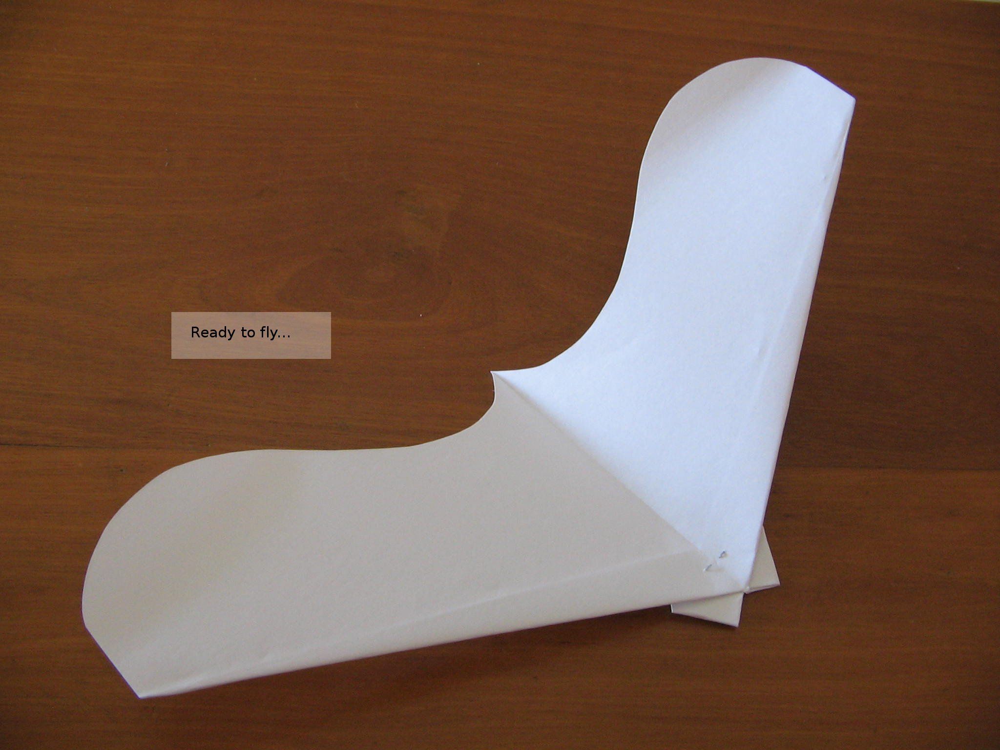 canardwings - a variation of paperang, a cool paperplane/glider DIY Project DIY Project Image