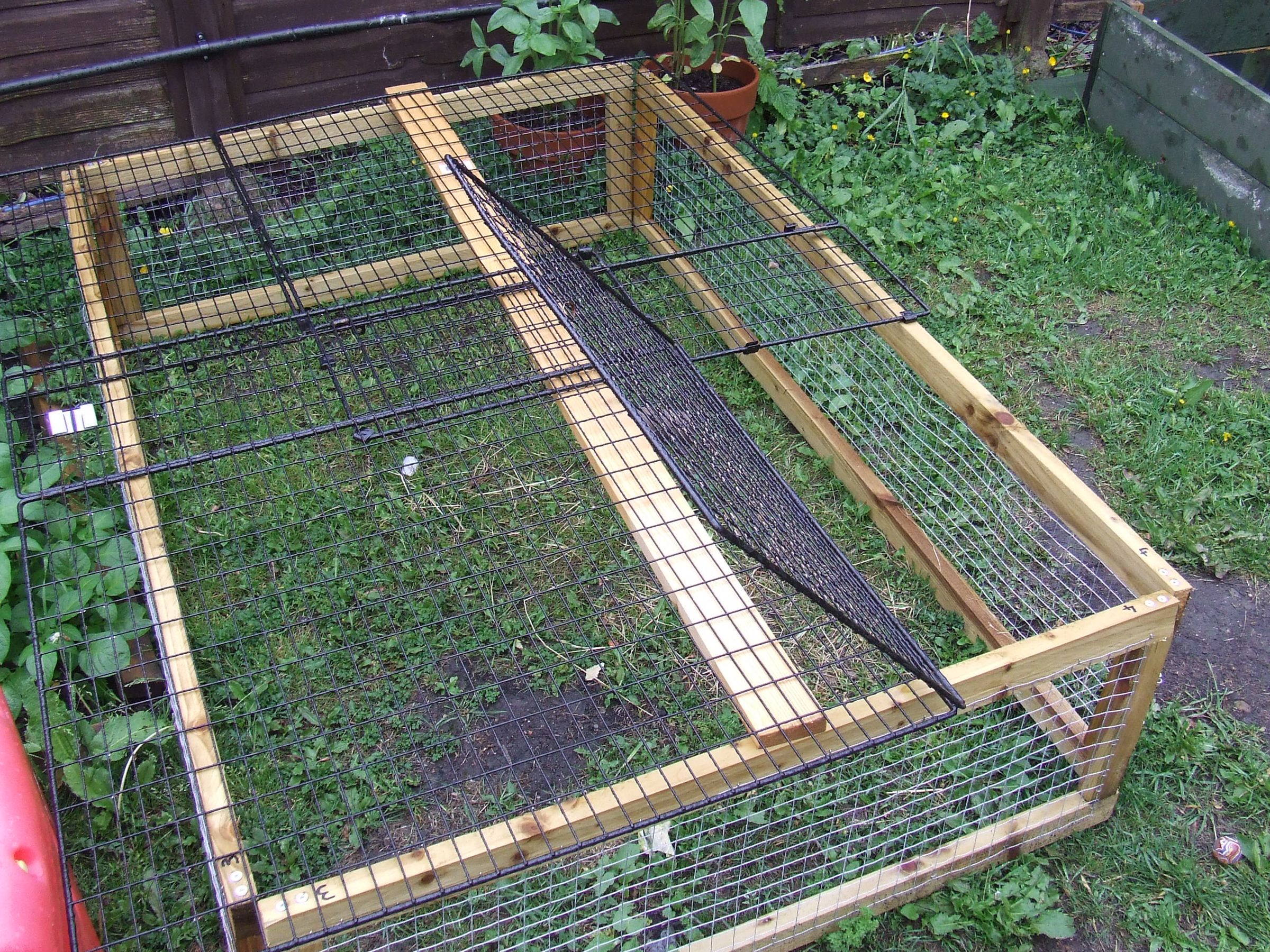 diy outdoor guinea pig run