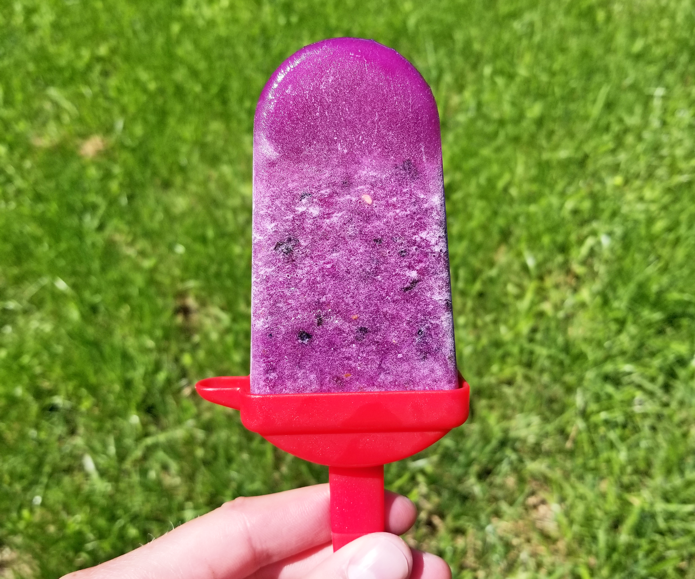 Step-by-step guide for 3 ingredient healthy popsicles DIY Project DIY project
