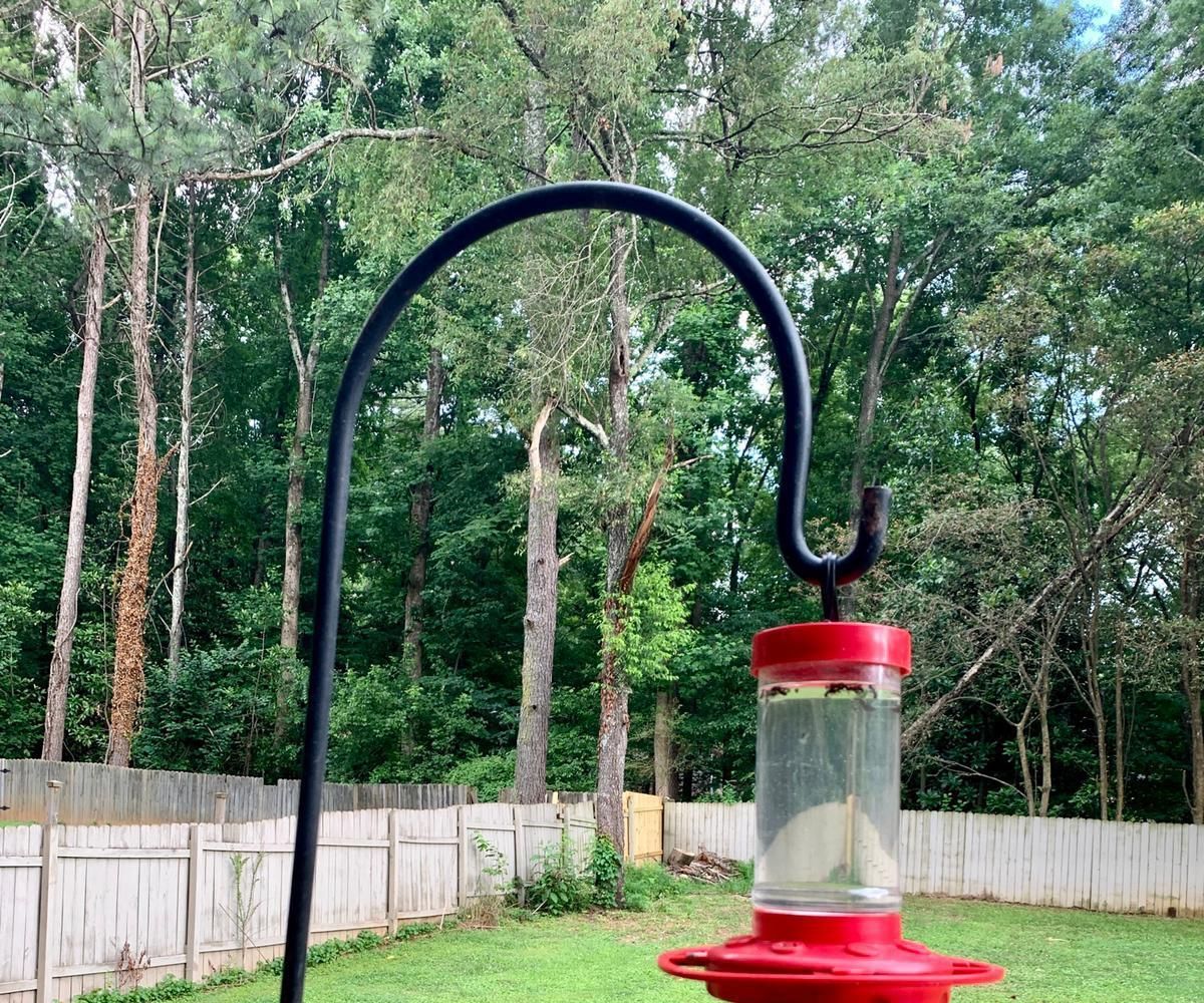 Ant Moat for Hummingbird Feeder Instructables