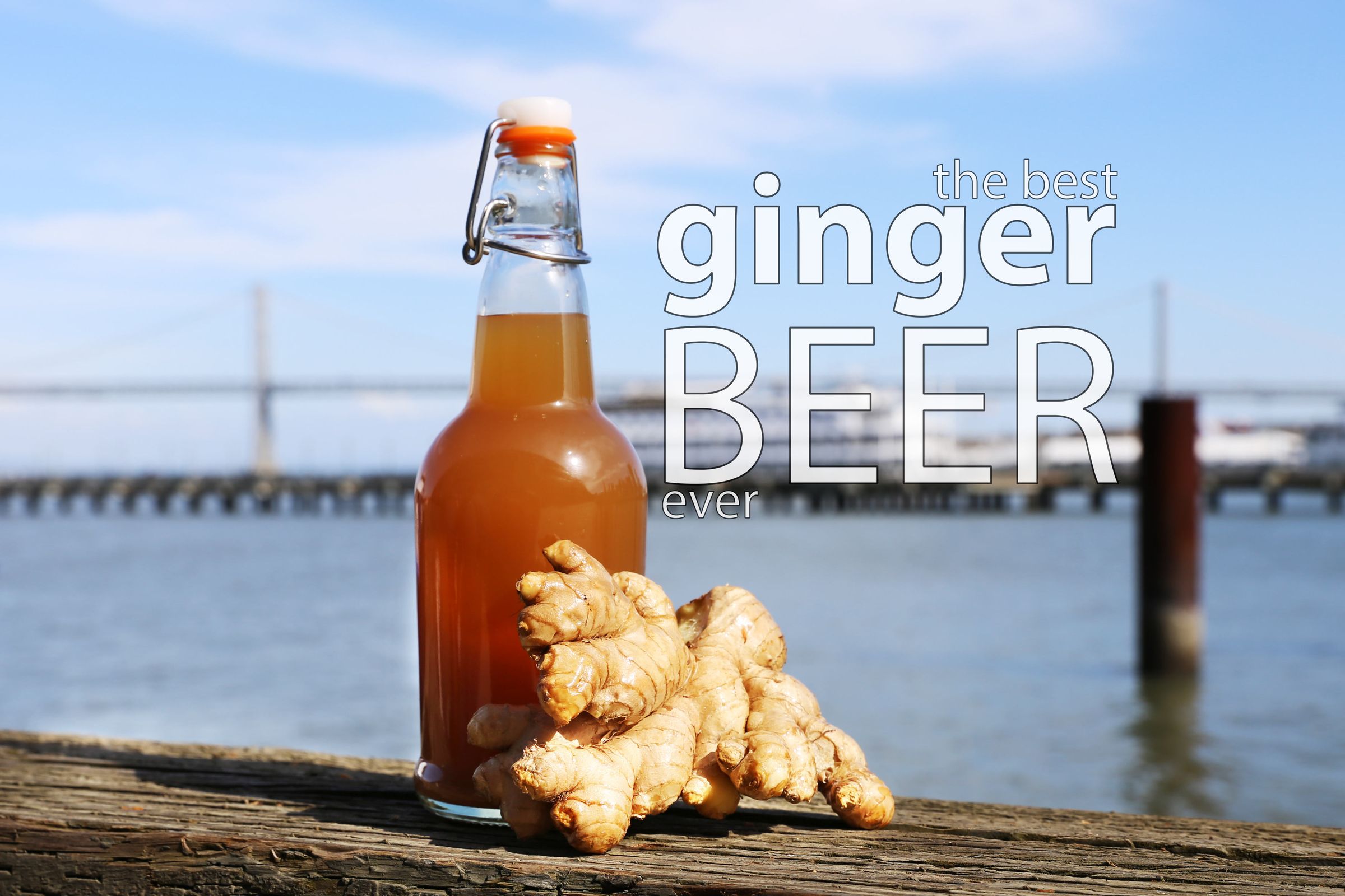 Best Ginger Beer 7 Steps With Pictures Instructables