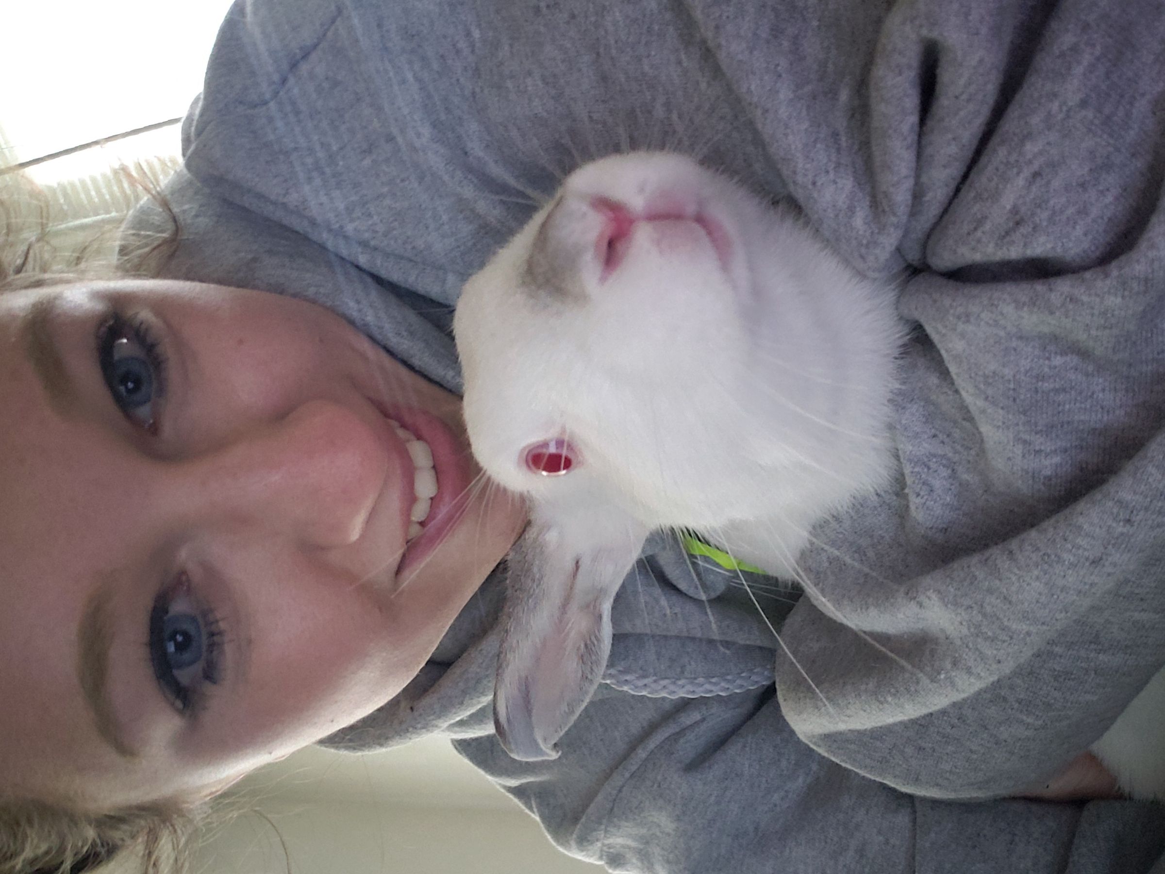 Basic Rabbit Care 101 9 Steps Instructables