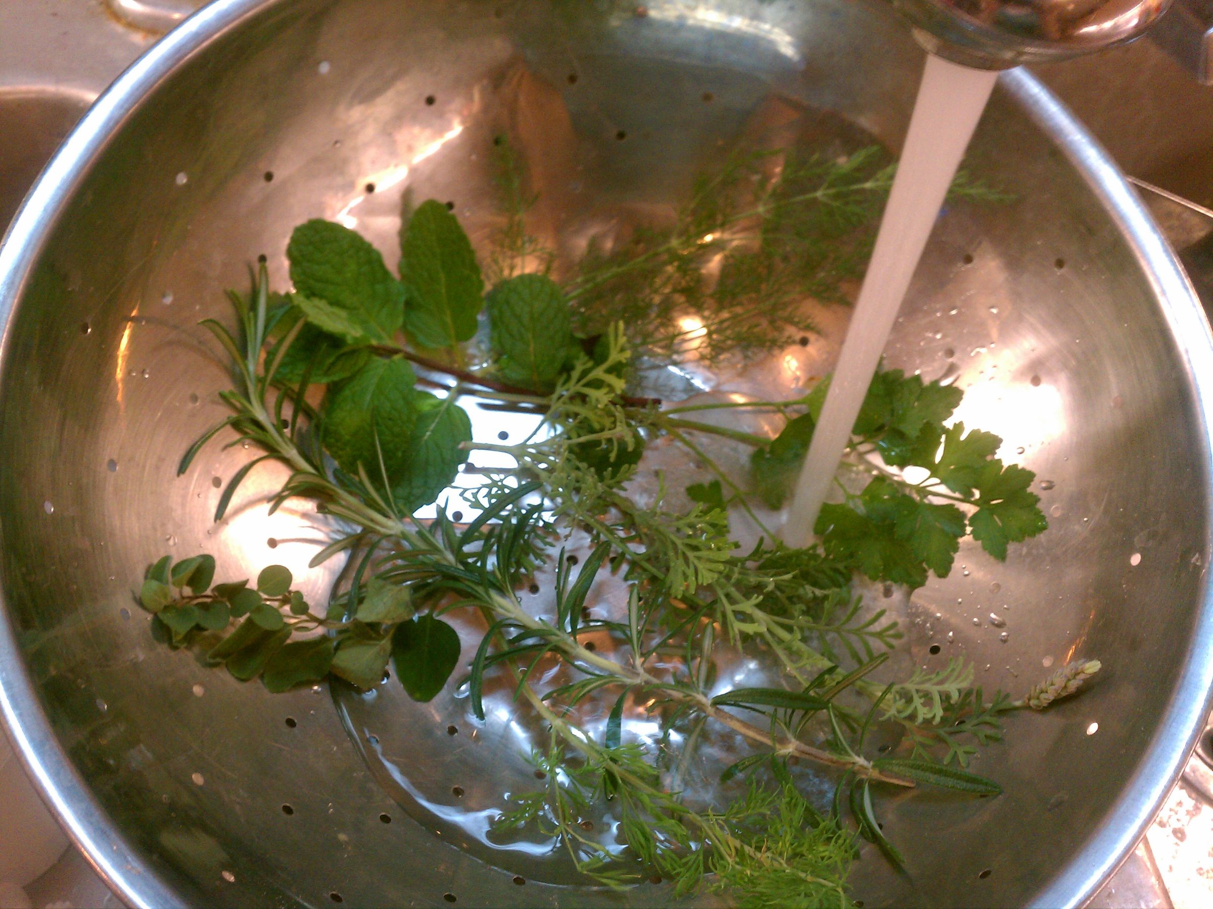 Prepare and Use Fresh Herbs 6 Steps (with Pictures) Instructables