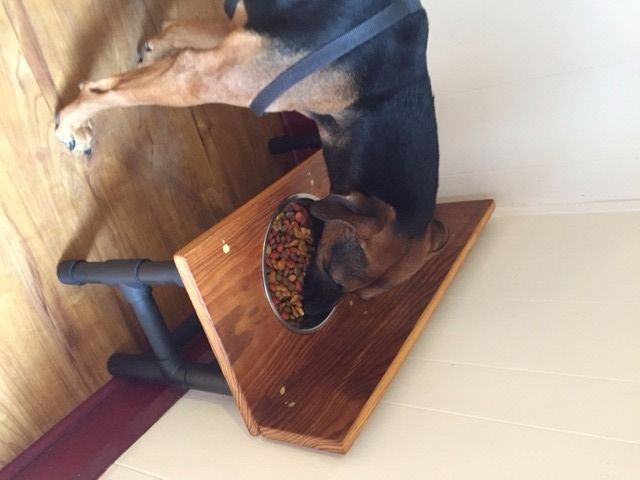 rodent proof dog feeder