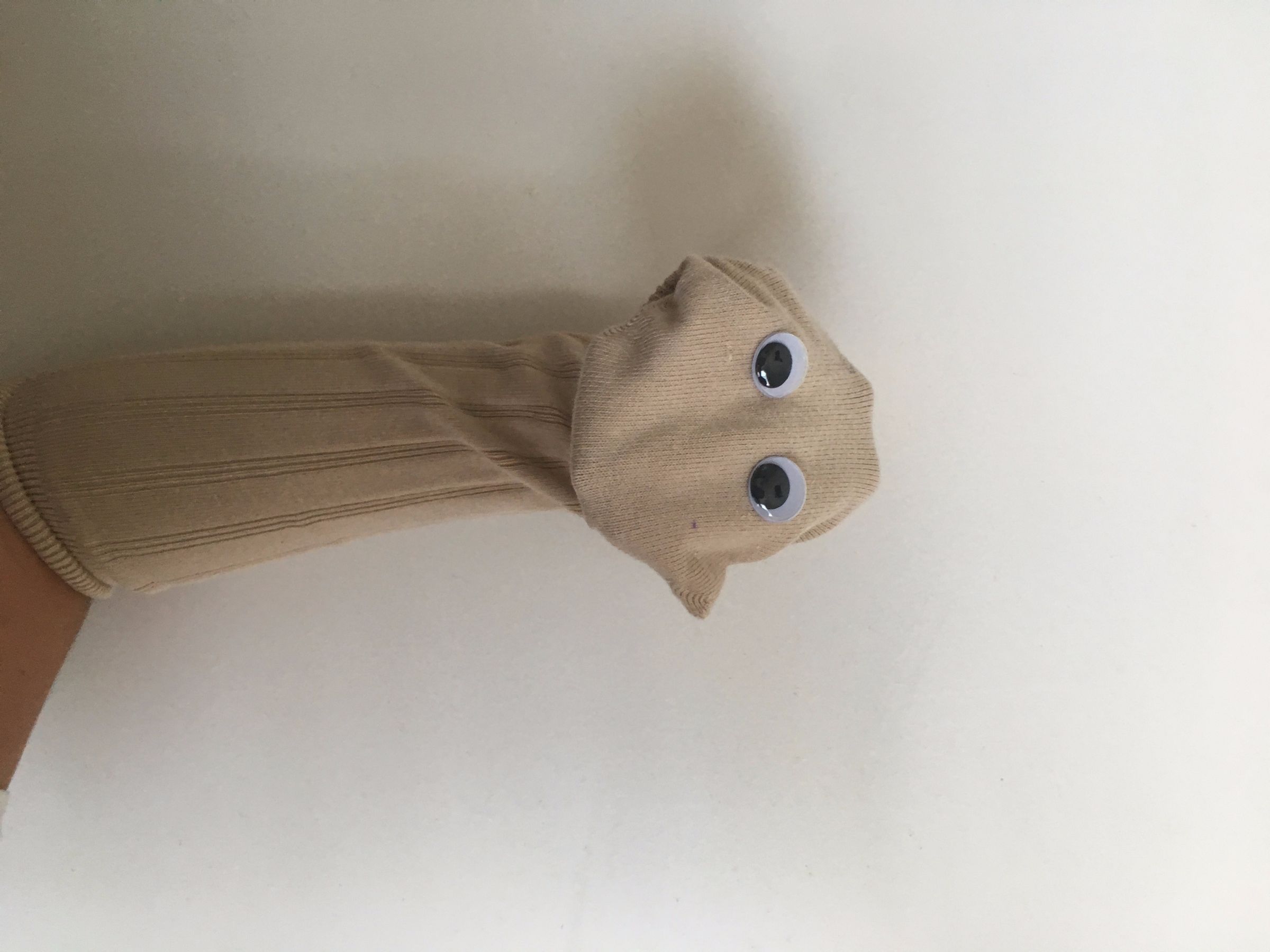 How to Make a Dog Sock Puppet 20 Steps Instructables