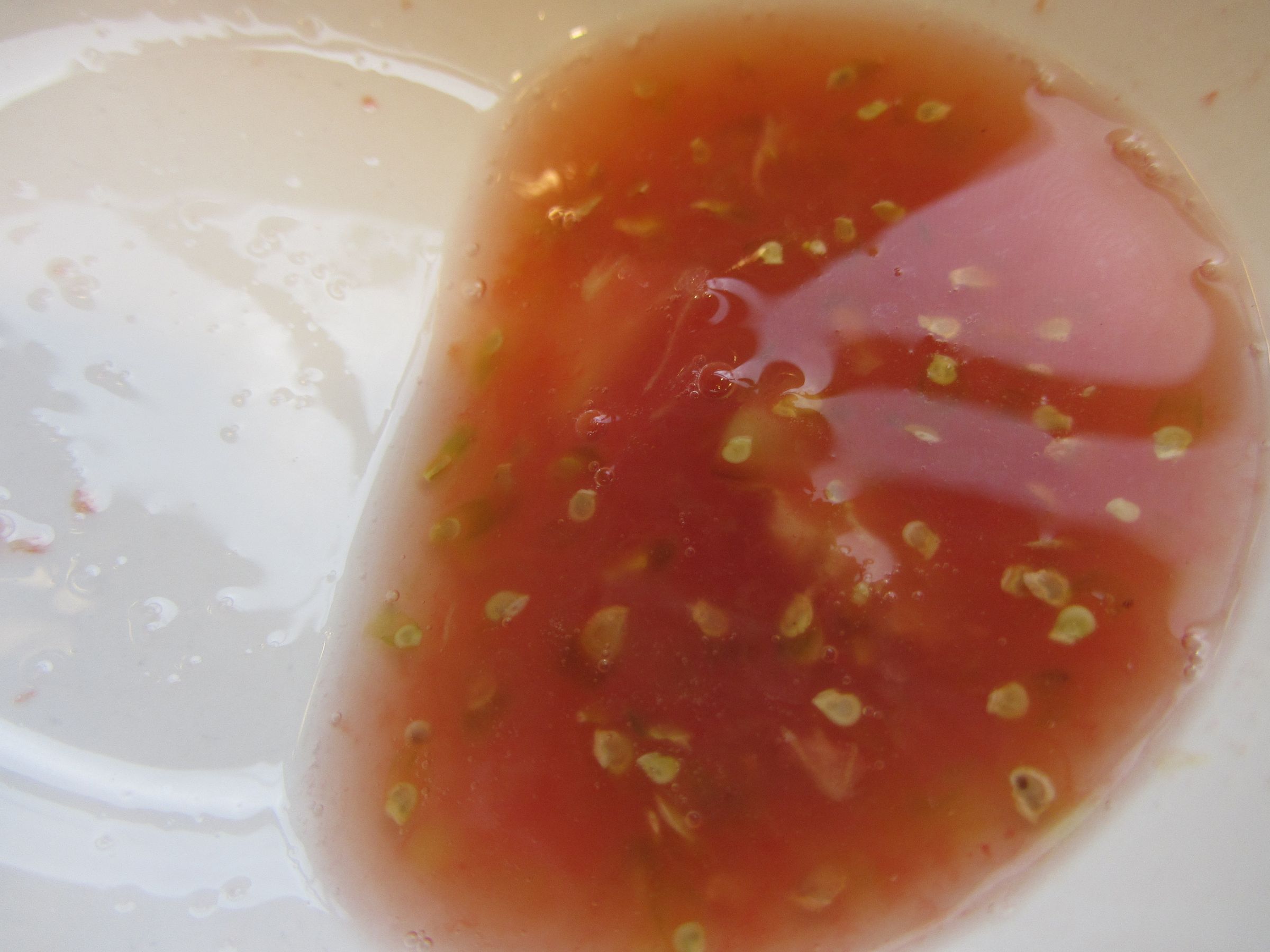 How to Ferment and Collect Tomato Seeds 6 Steps Instructables
