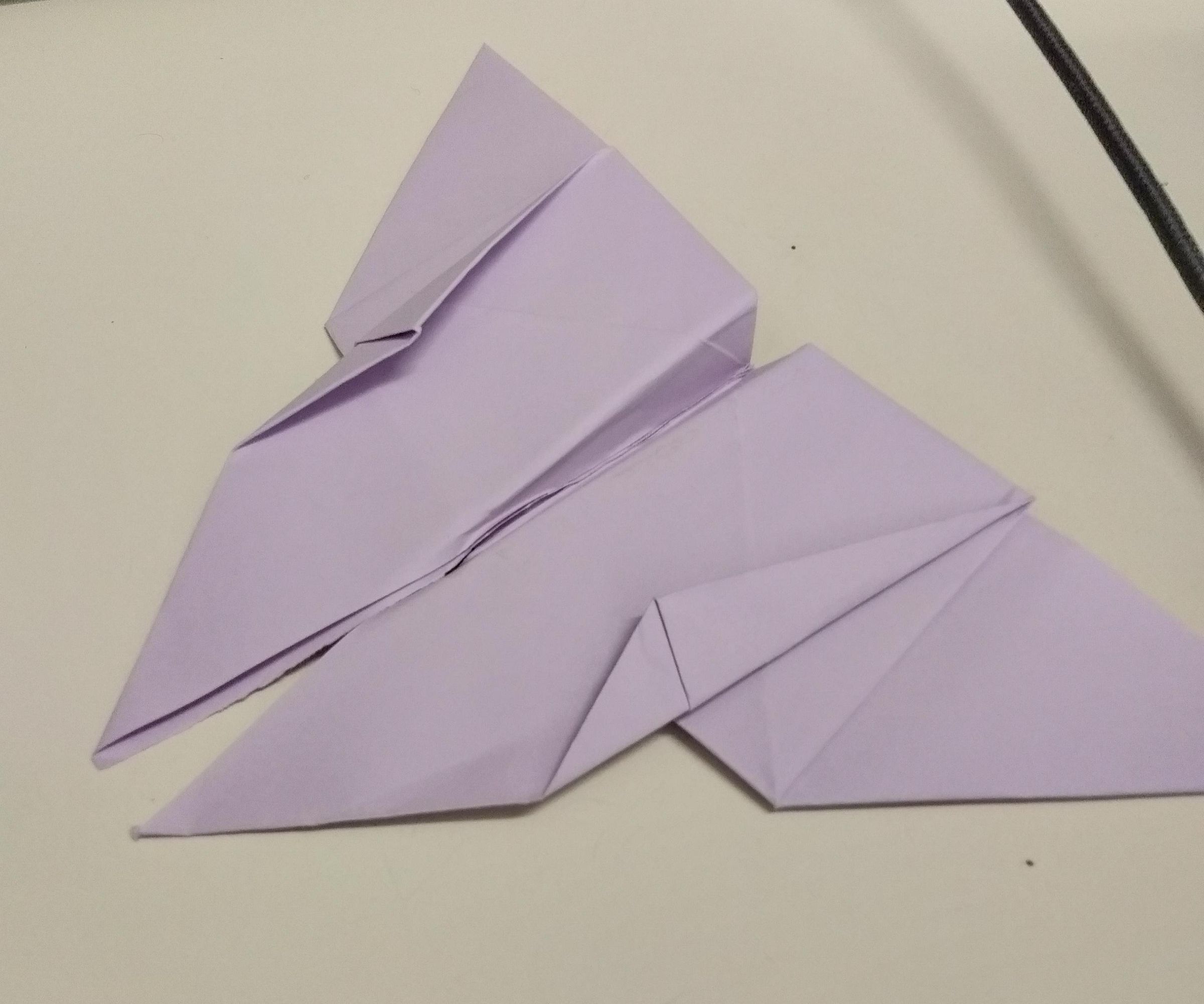 butterflies DIY Project DIY Project Image