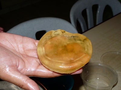 Do It Yourself Dragon S Beard Candy 8 Steps With Pictures Instructables Do It Yourself Dragon S Beard Candy 8 Steps With Pictures Instructables