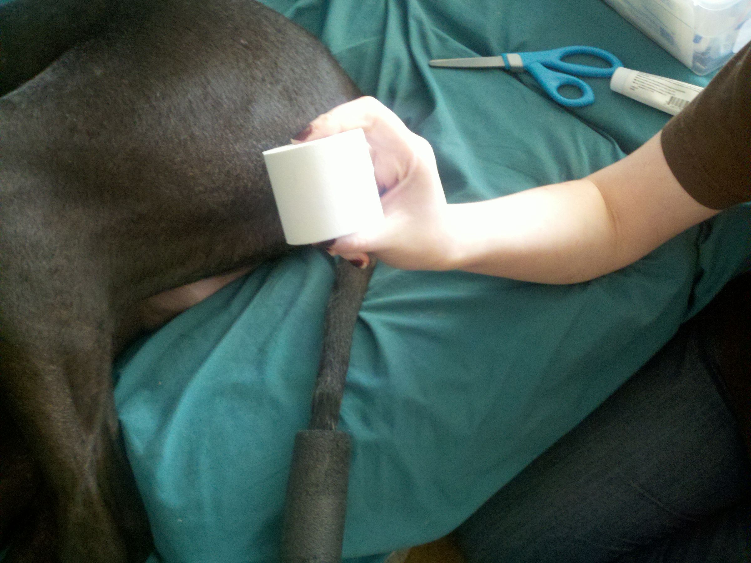 Happy Tail Solution 5 Steps Instructables