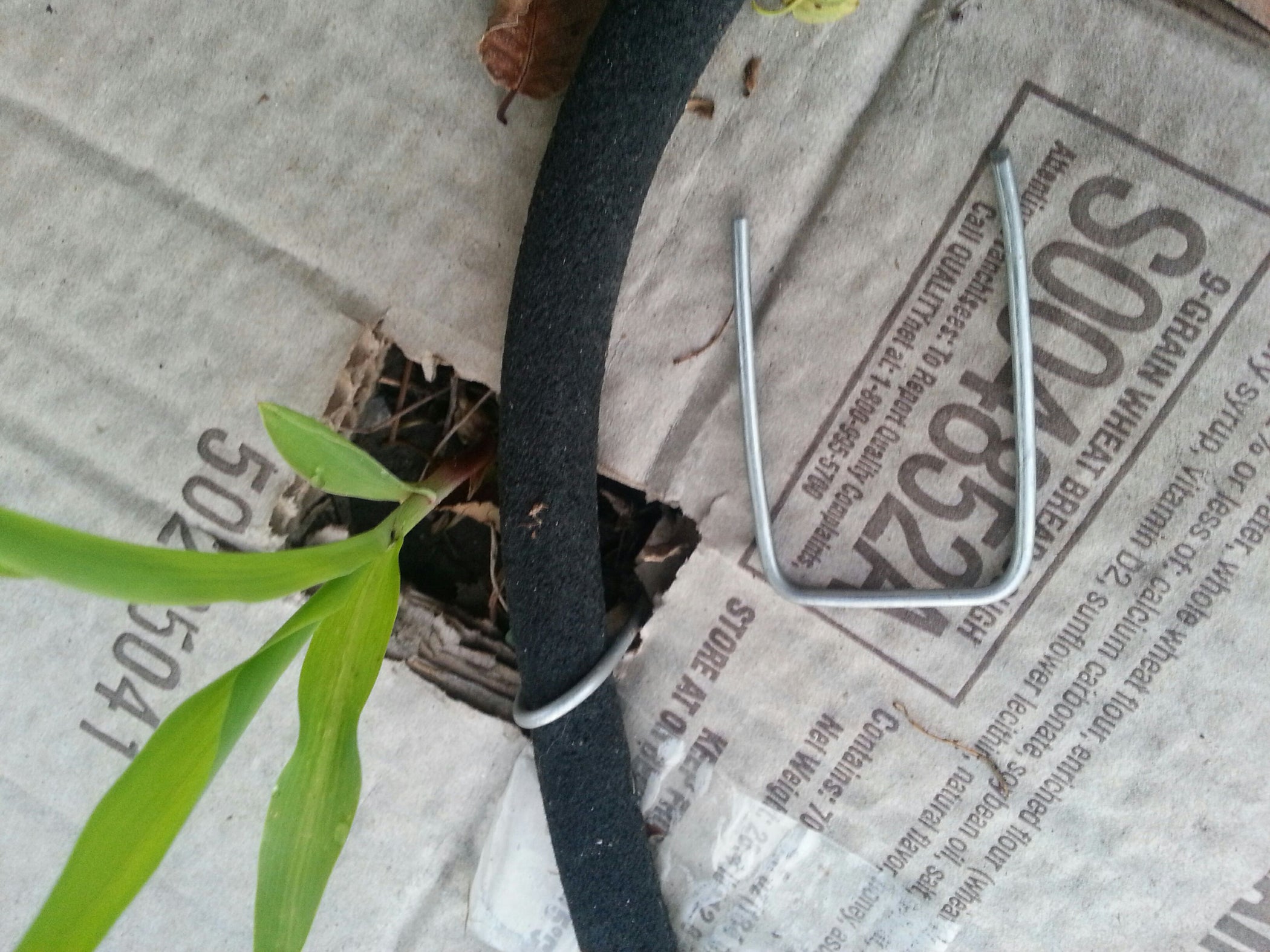 Cheap Easy Garden & Landscape Staples 5 Steps Instructables