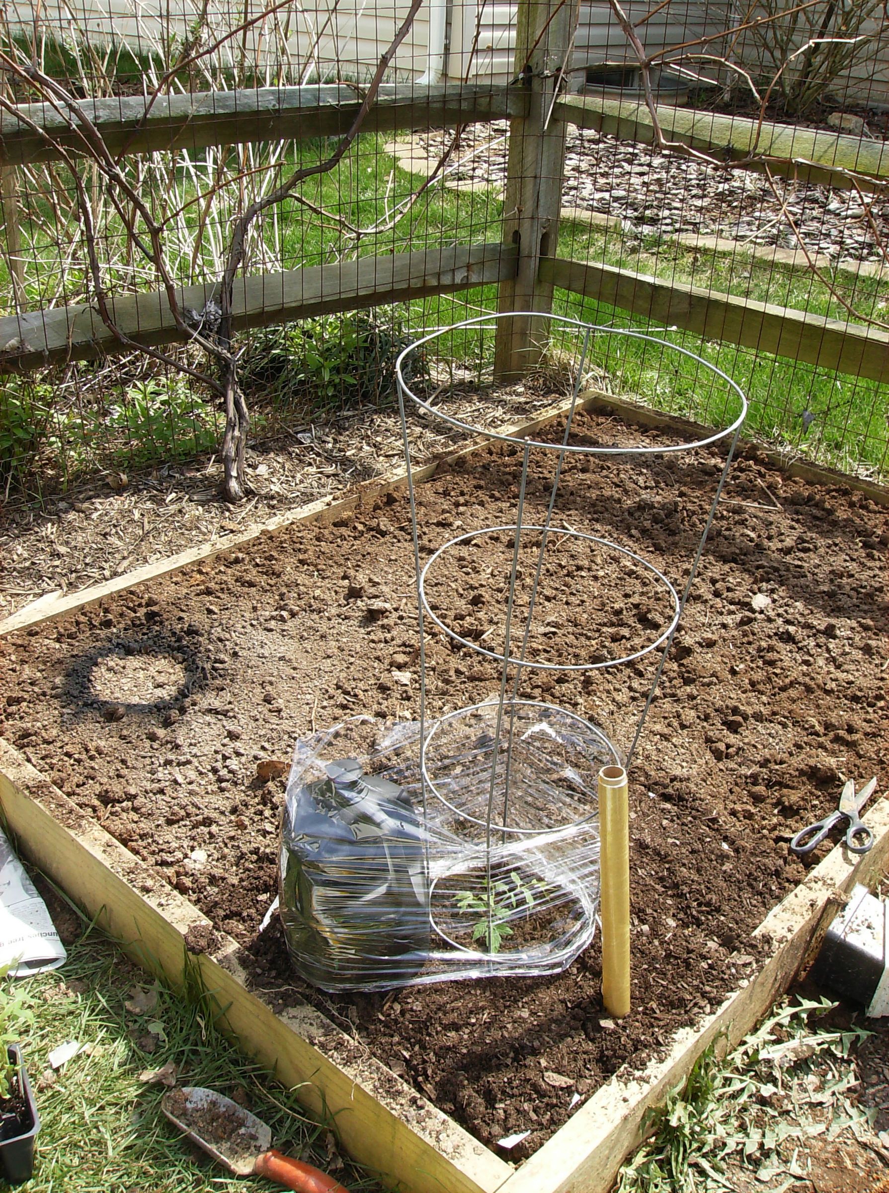 How to Quickly Build a HotHouse Tomato Cage 6 Steps Instructables