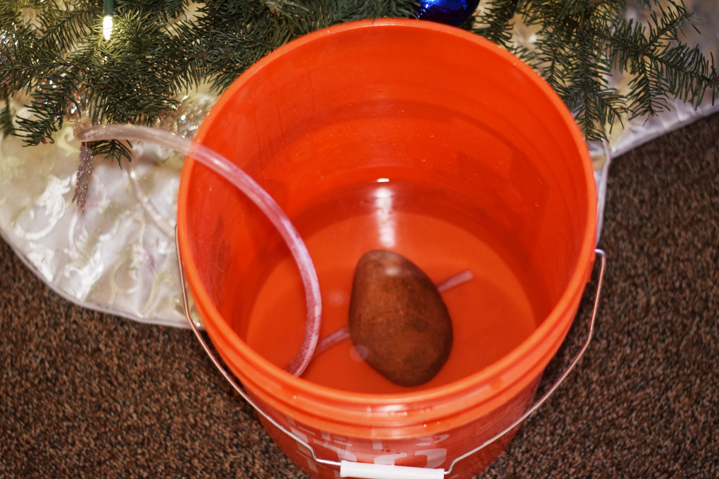Automatic Christmas Tree Watering System Best Decorations
