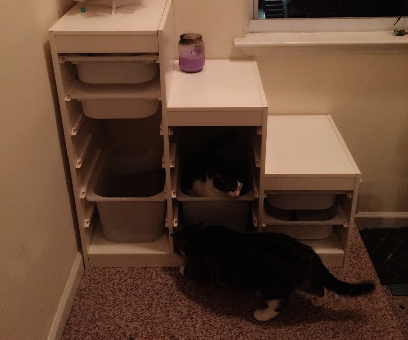 ikea kitty litter hack