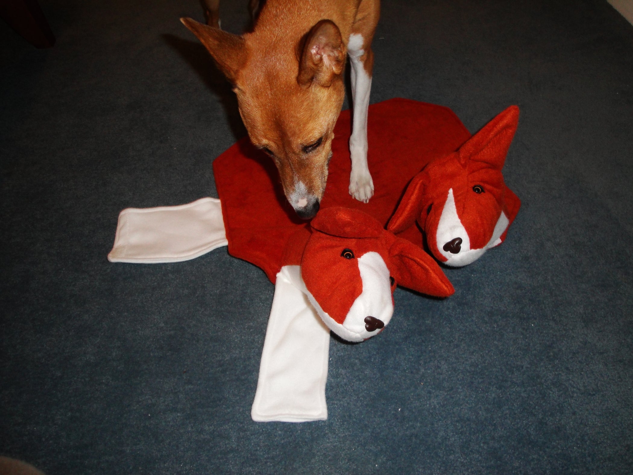 How to Make a Costume for a Dog 4 Steps (with Pictures) Instructables