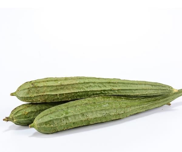 How to Grow Luffa From Seeds 4 Steps Instructables