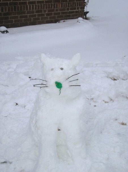 How To Make A Snow Cat. : 7 Steps - Instructables