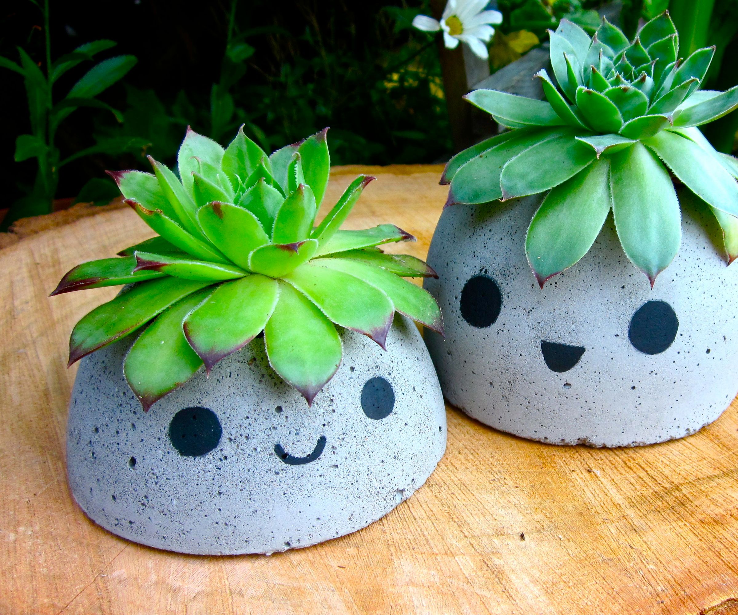 Cute Concrete Planter