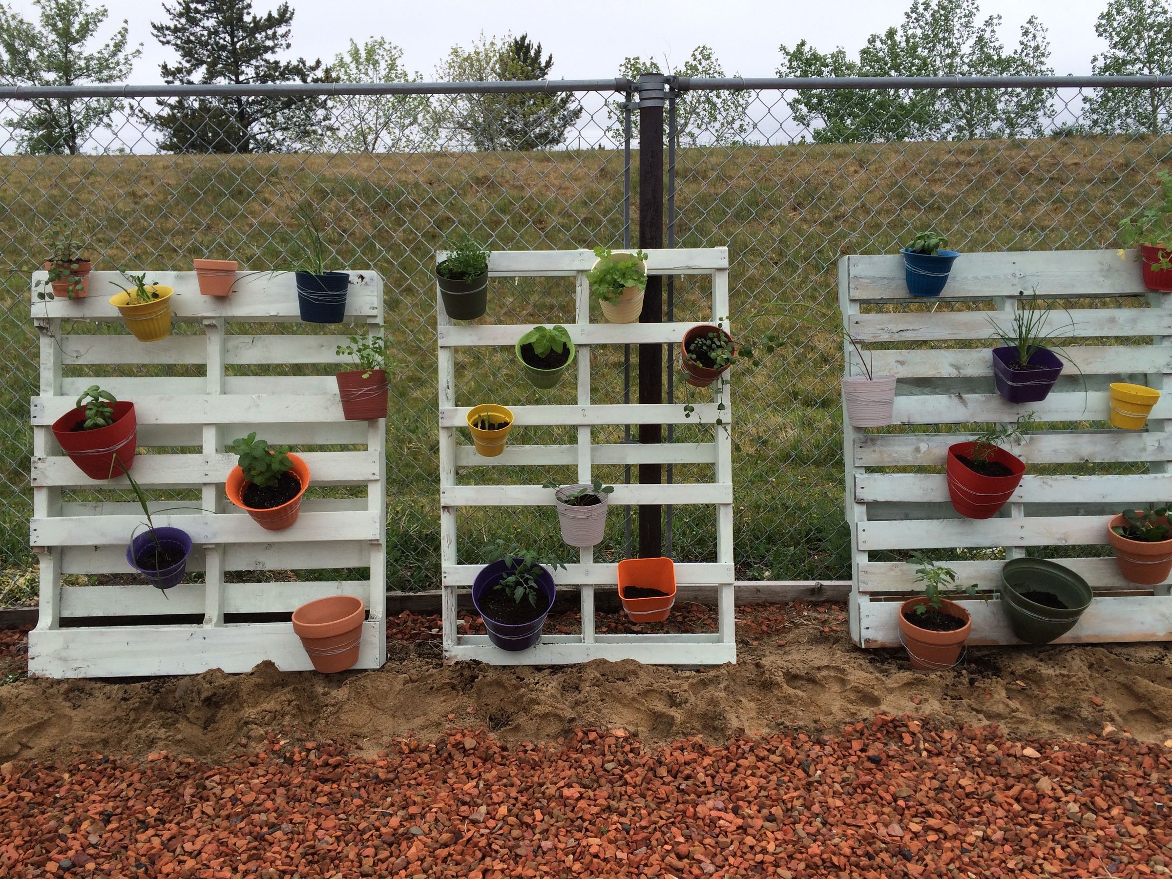 Vertical Pallet Garden : 4 Steps (with Pictures) - Instructables