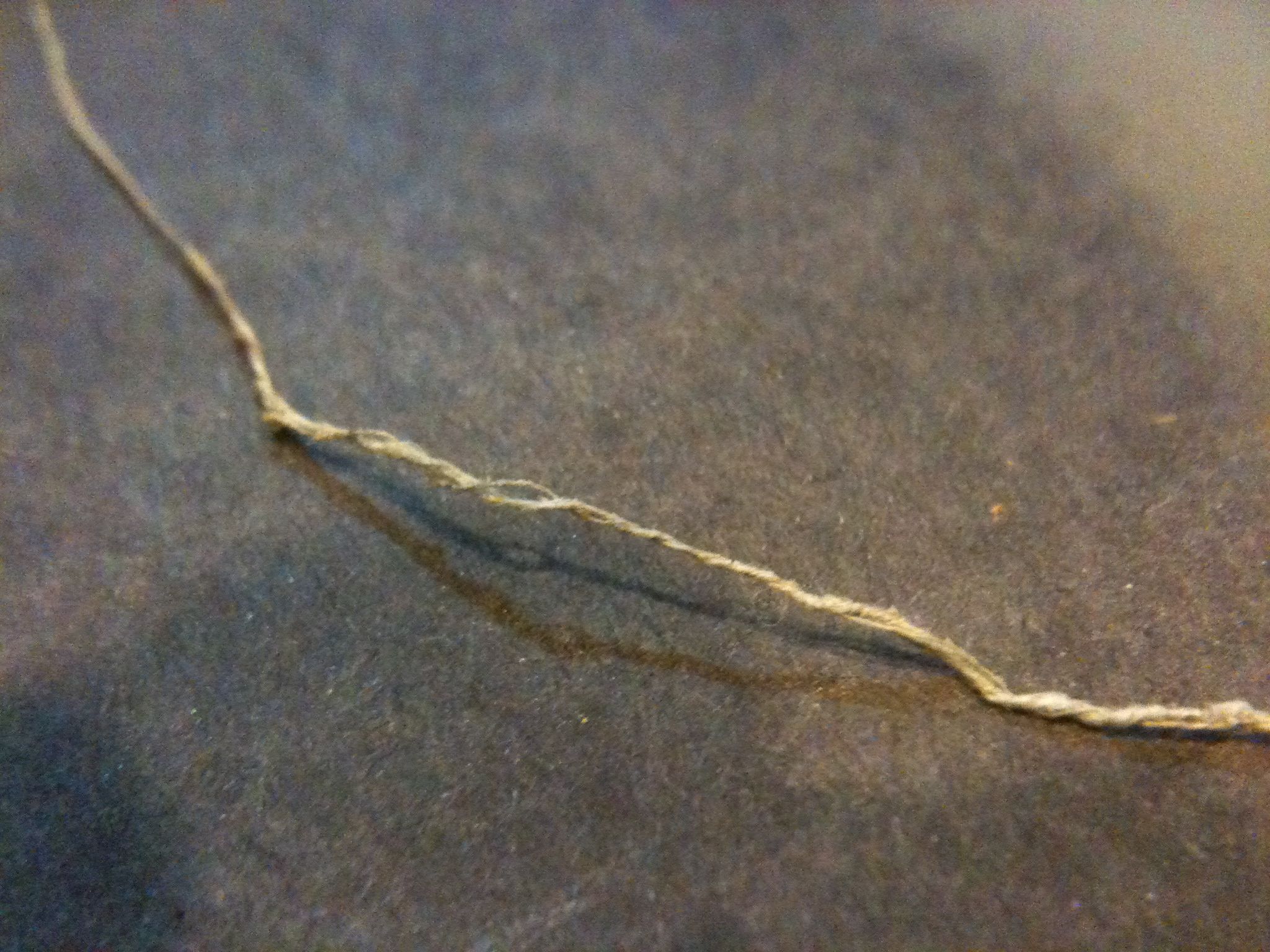 How to Make Spider Silk Thread 8 Steps (with Pictures) Instructables