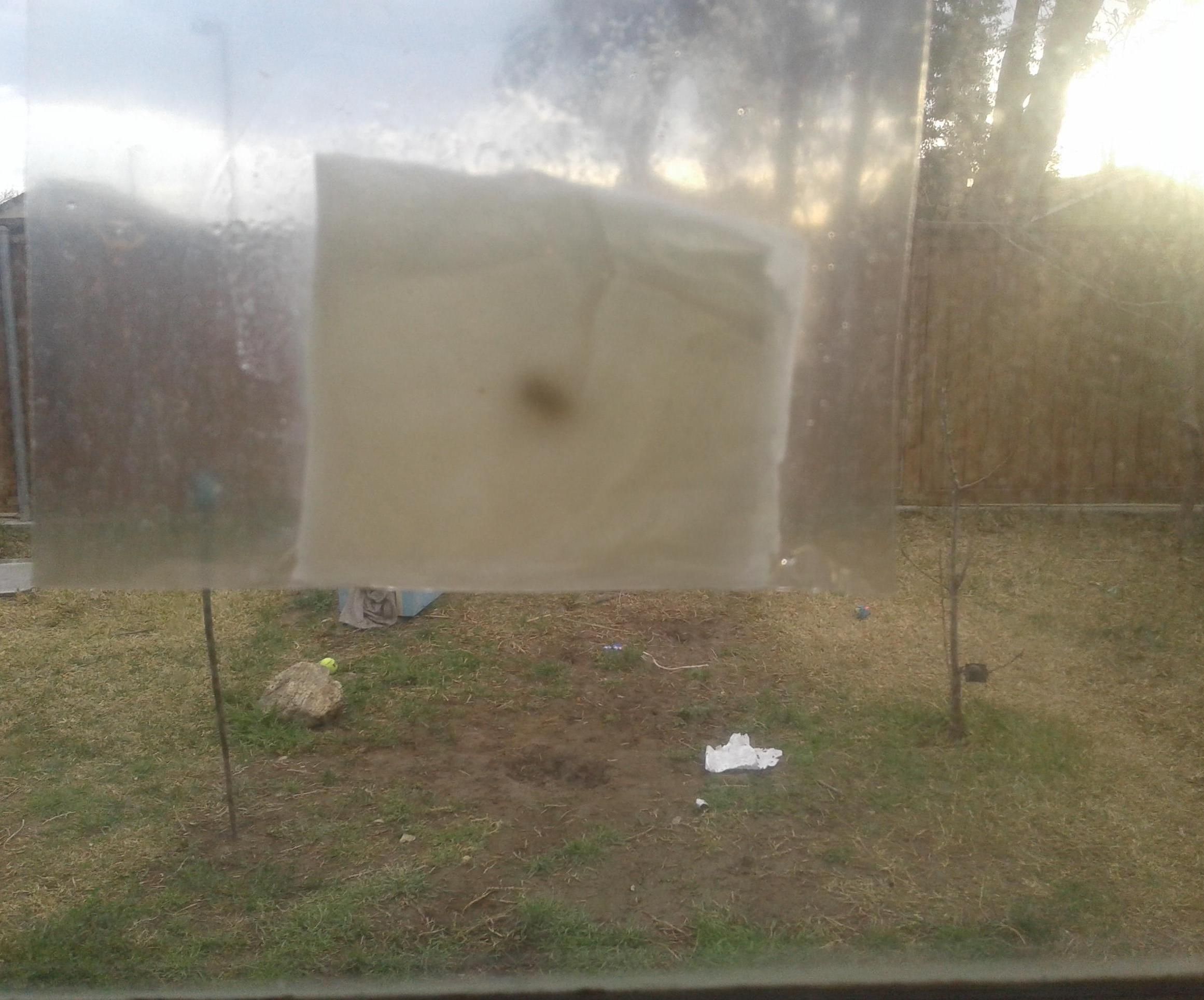 DIY guide for How to Grow a Bean in a Plastic Bag with step-by-step instructions
