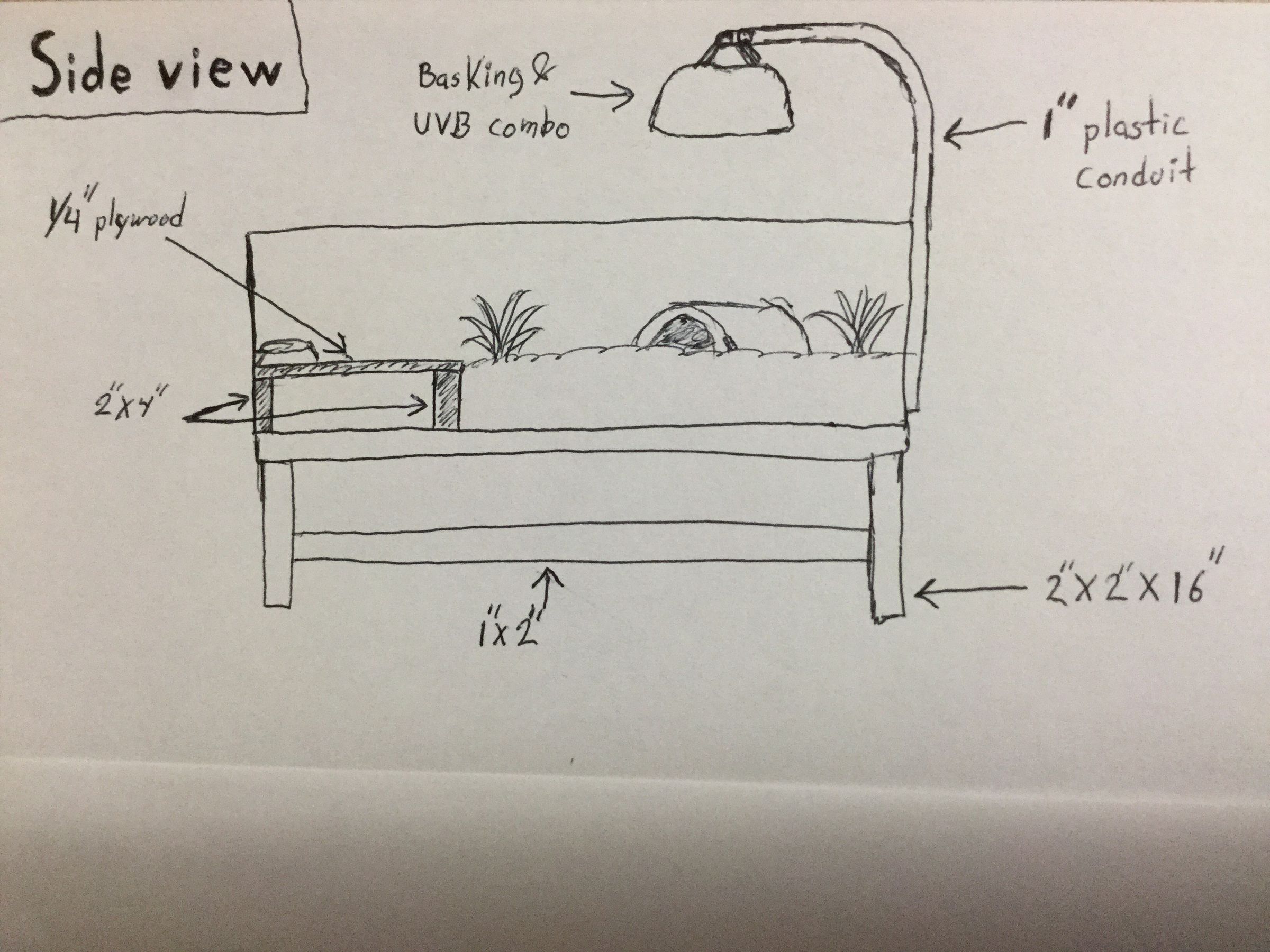 plastic tortoise table