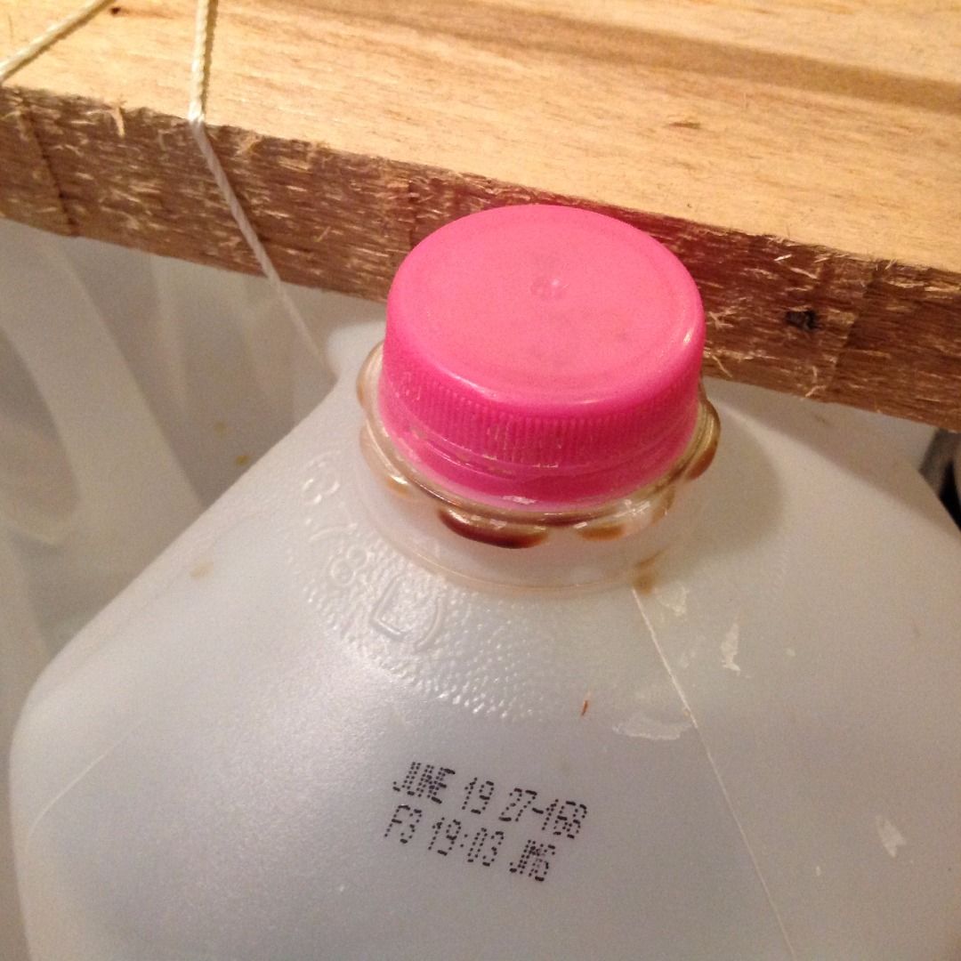 Build a Milk Jug Raft! 9 Steps (with Pictures) Instructables