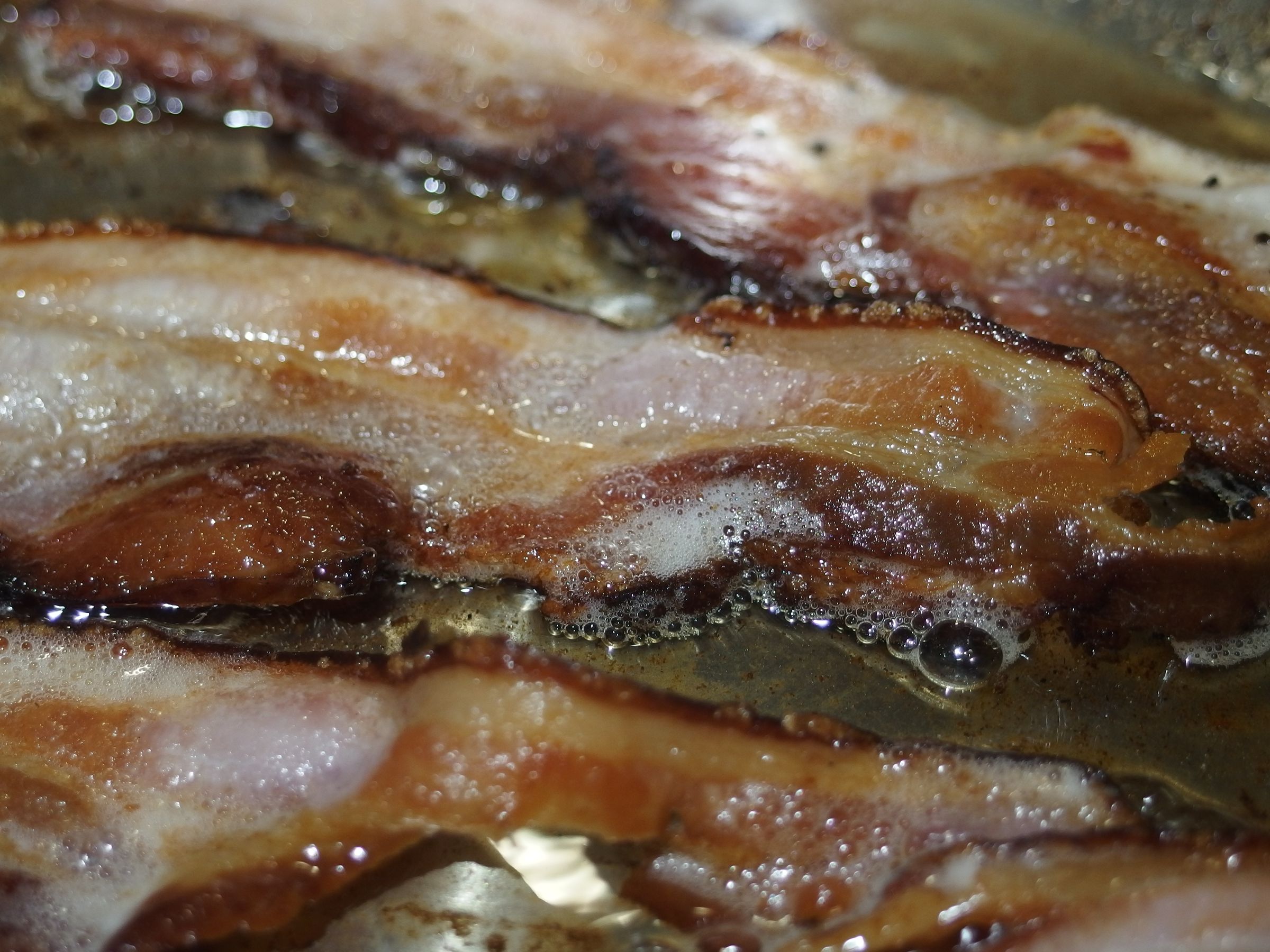 Green Cured Bacon 6 Steps (with Pictures) Instructables