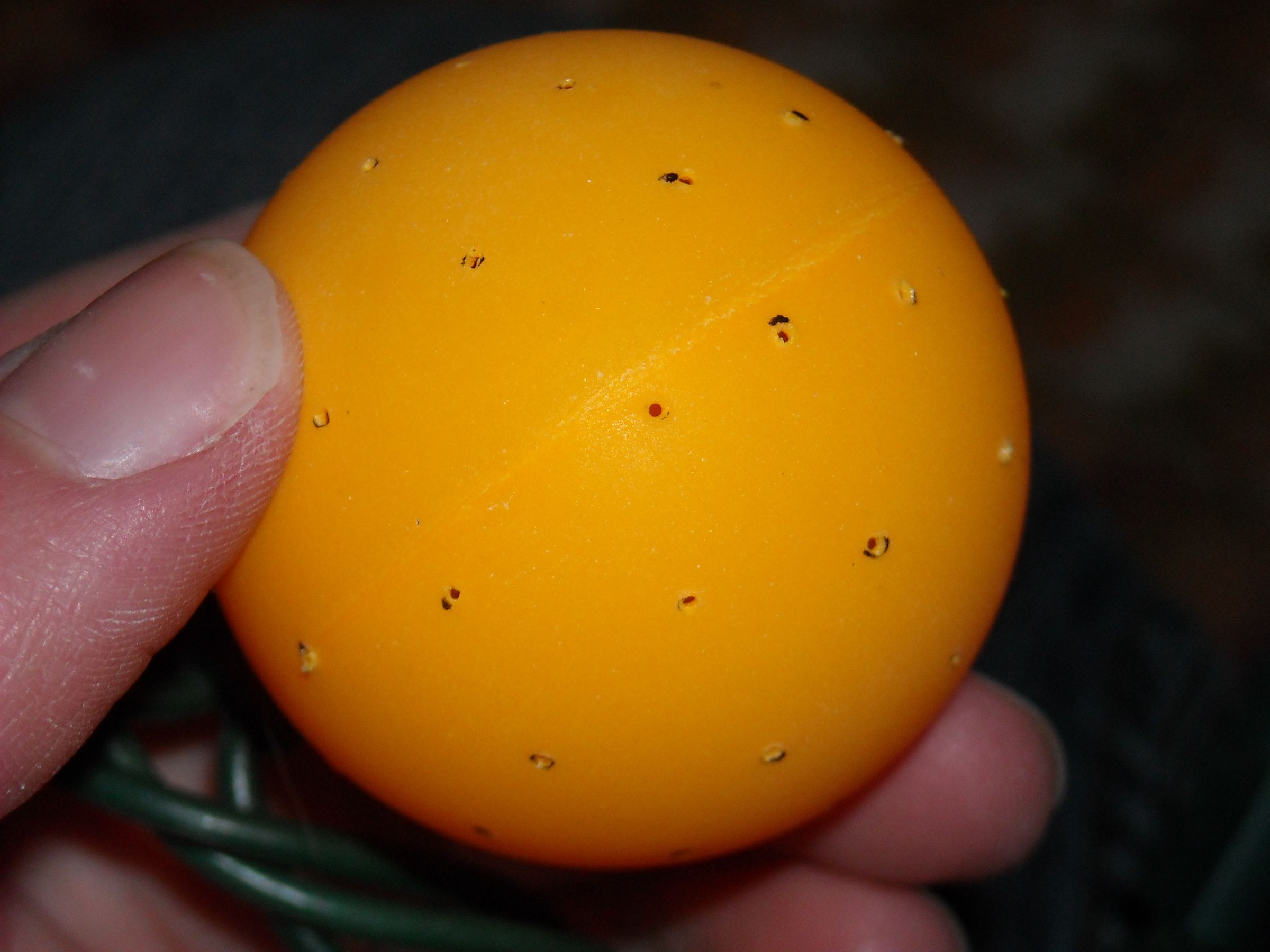 Homeade Catnip Balls 7 Steps Instructables