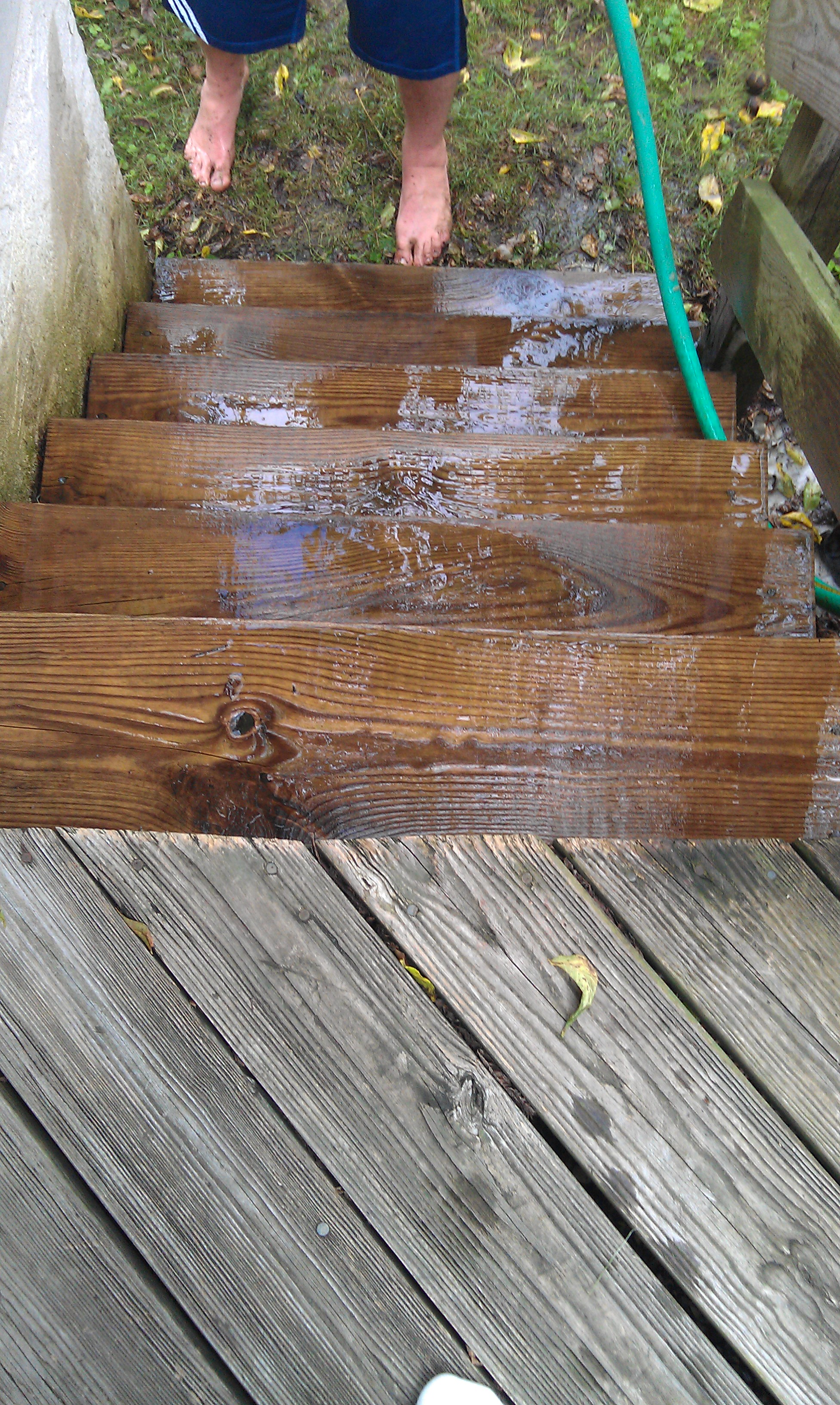 Killing Algae Growing on a Wooden Deck Using Hydrogen Peroxide