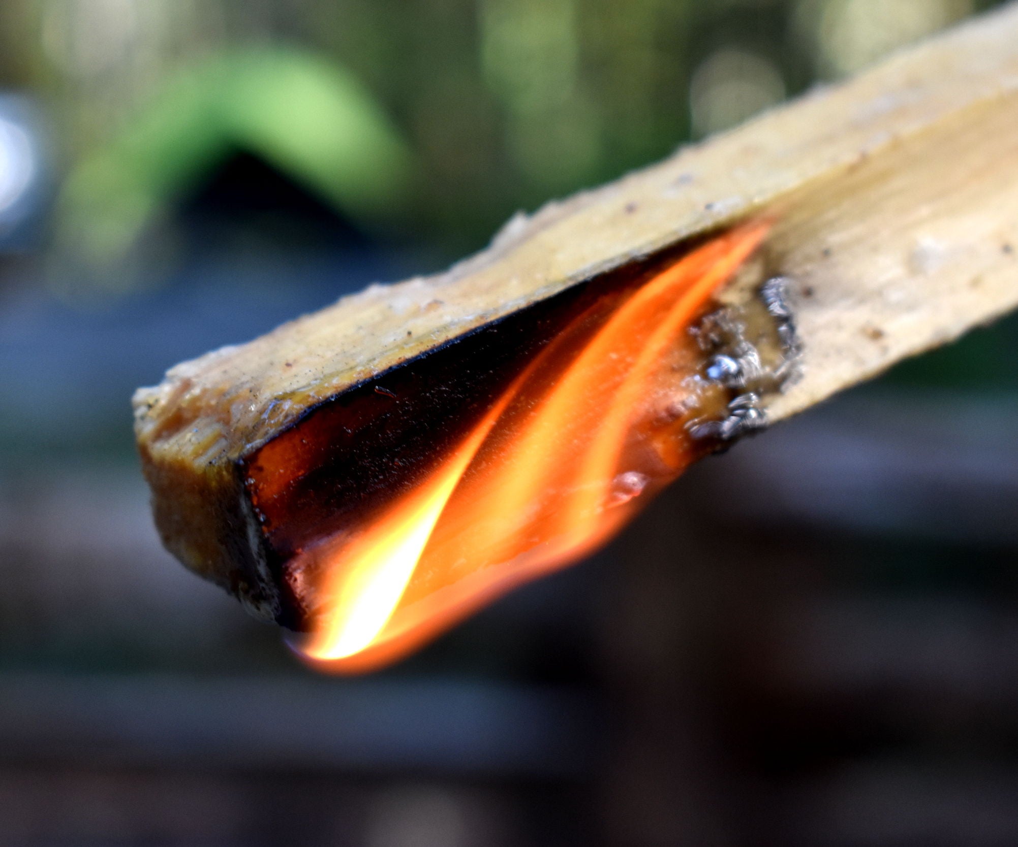 Bacon Infused Fire Lighters 5 Steps (with Pictures) Instructables